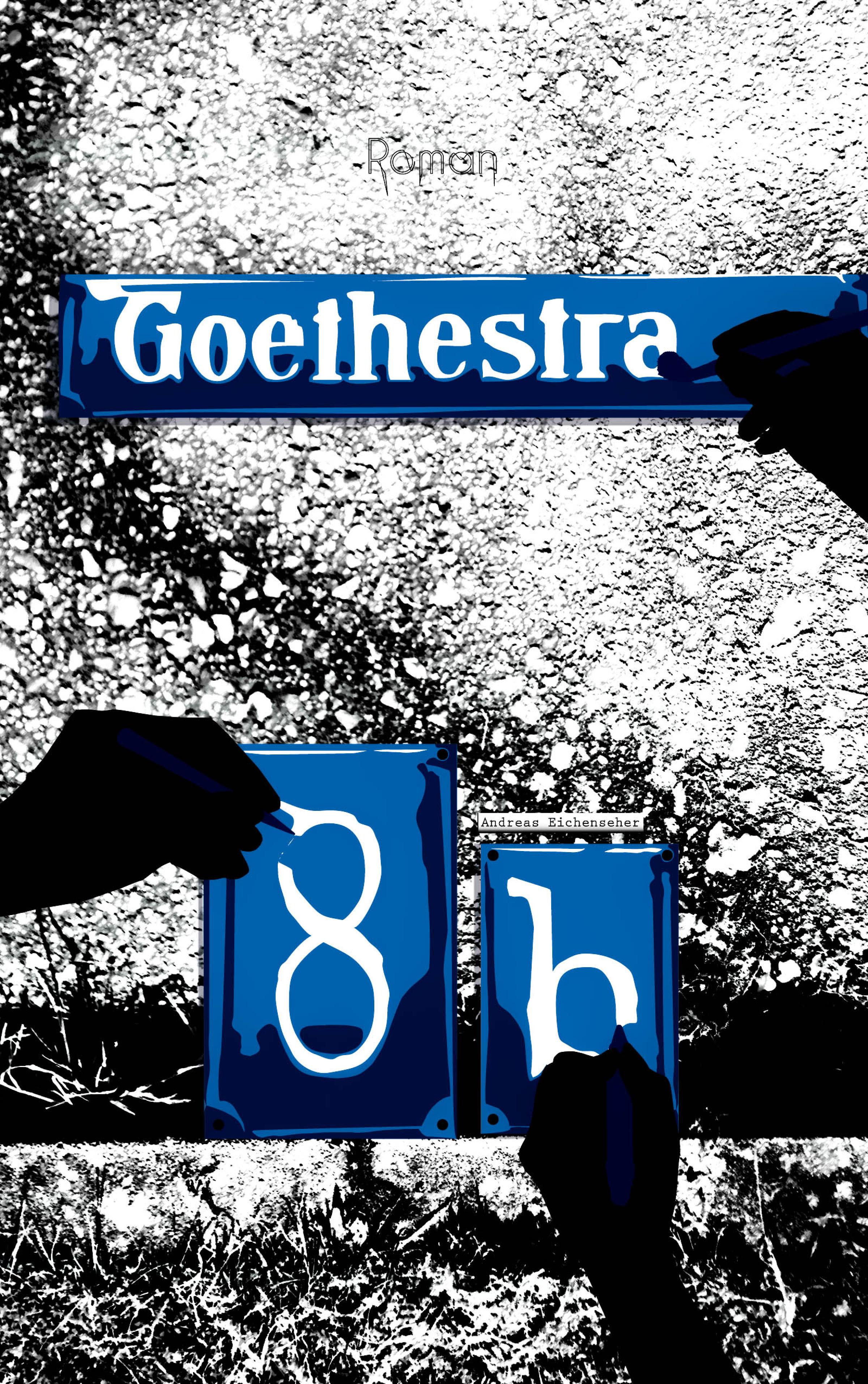 Обложка книги «Goethestraße 8b»