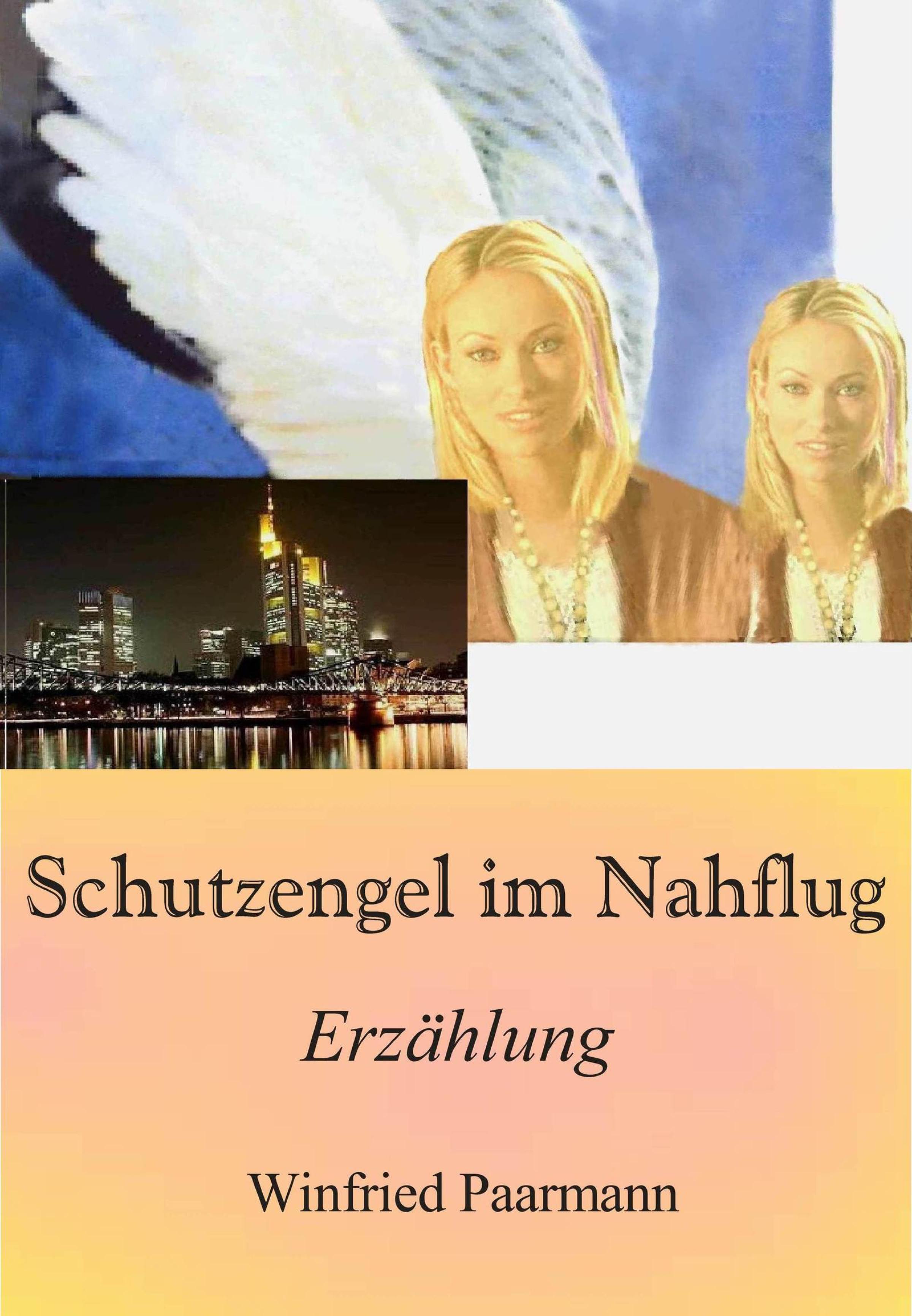 Обложка книги «Schutzengel im Nahflug»