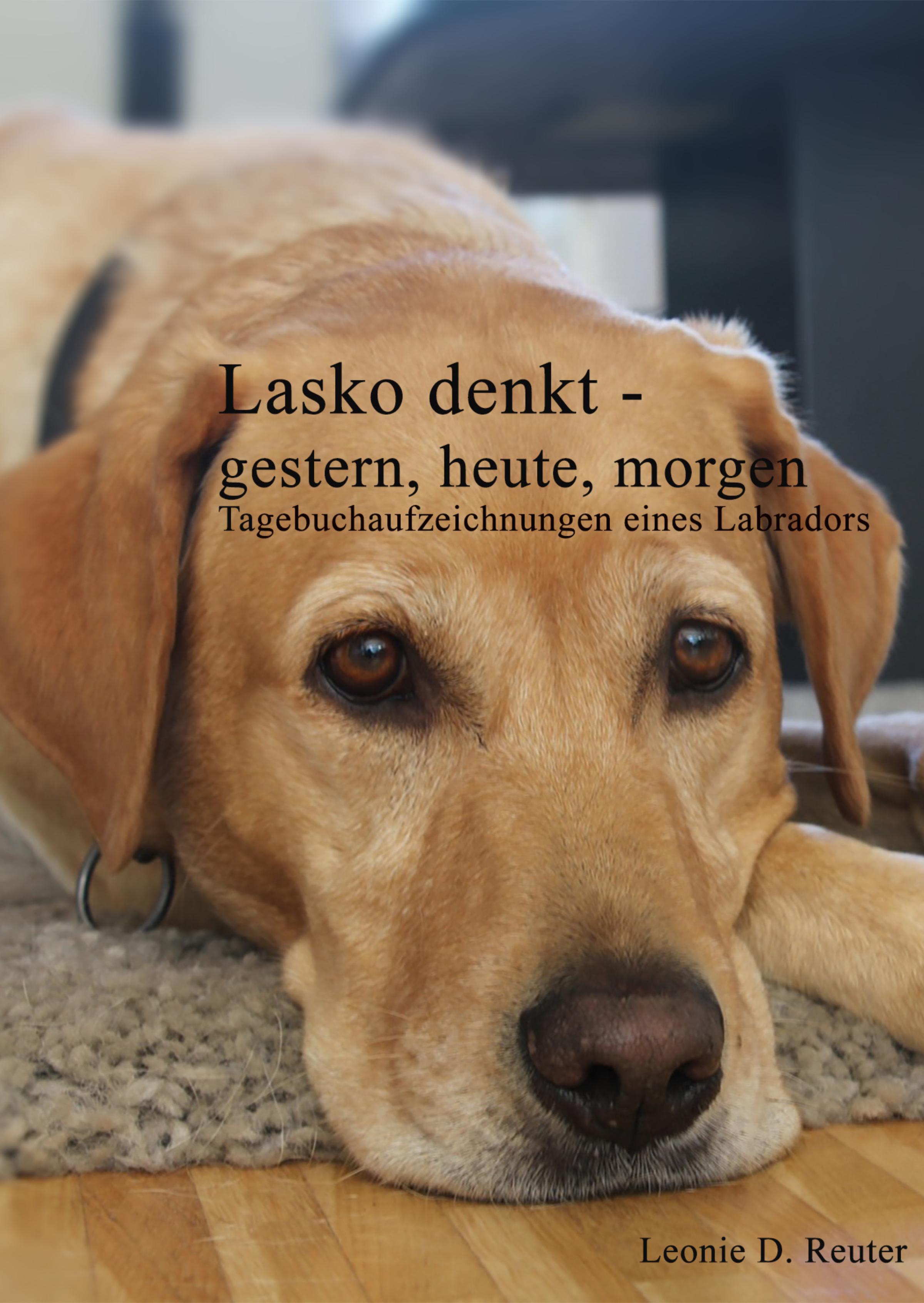 Обложка книги «Lasko denkt -gestern, heute, morgen»