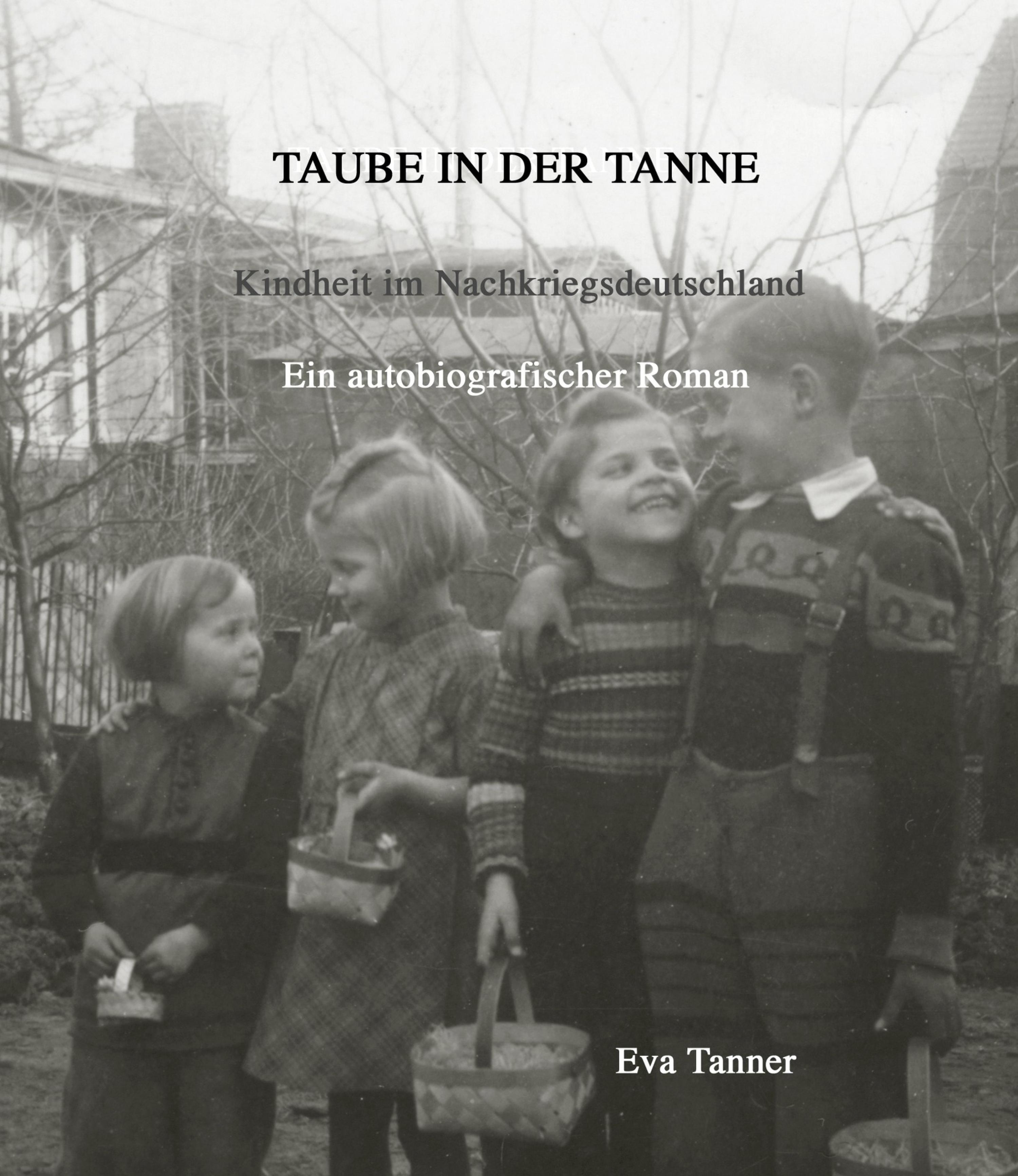 Обложка книги «Taube in der Tanne»