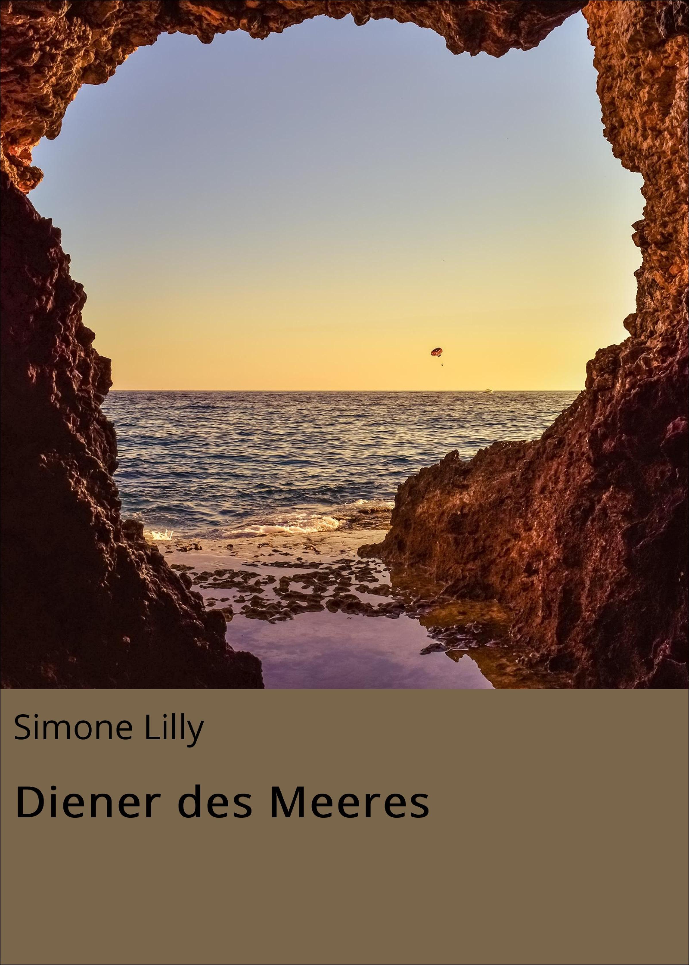 Обложка книги «Diener des Meeres»