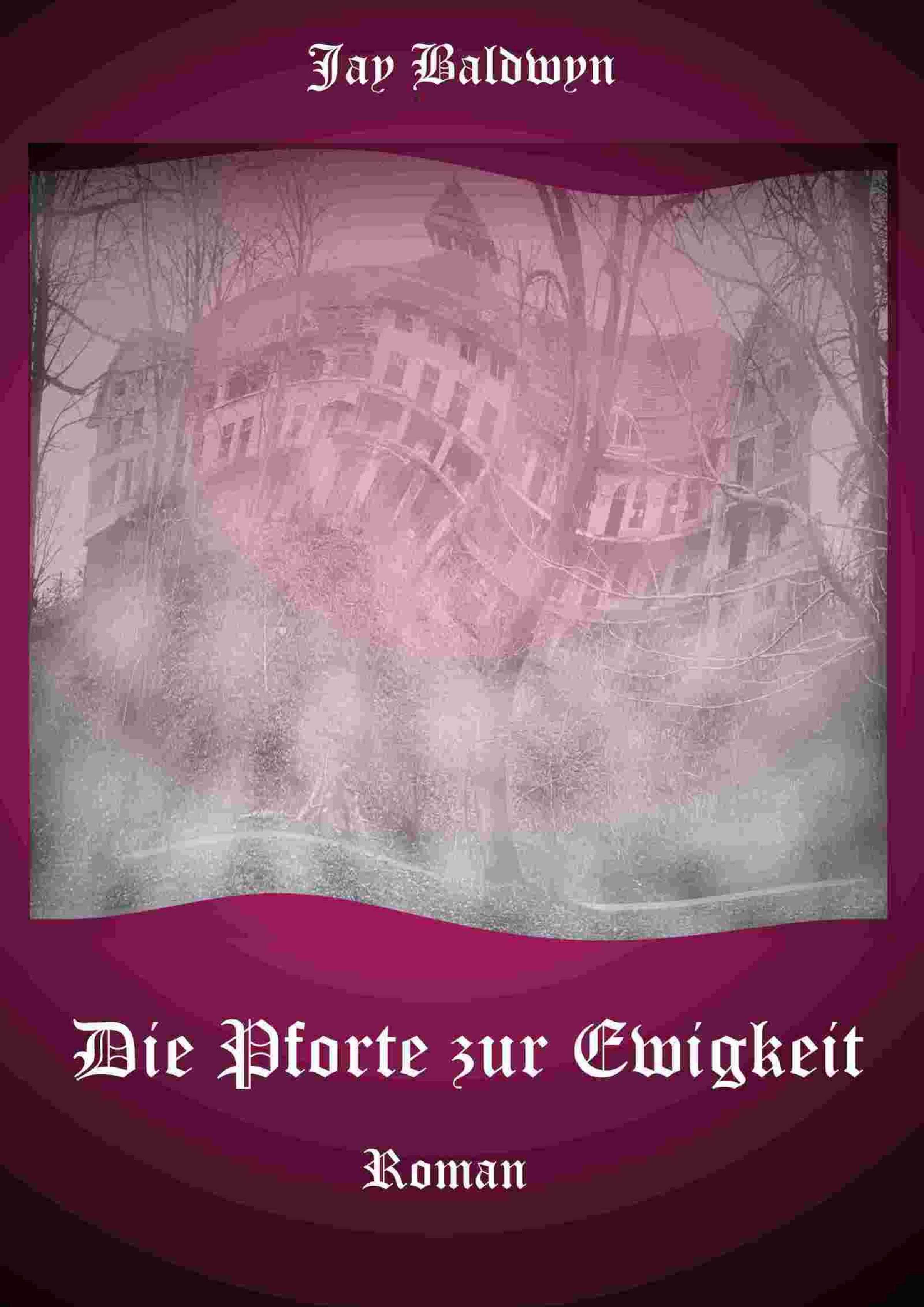 Обложка книги «Die Pforte zur Ewigkeit»