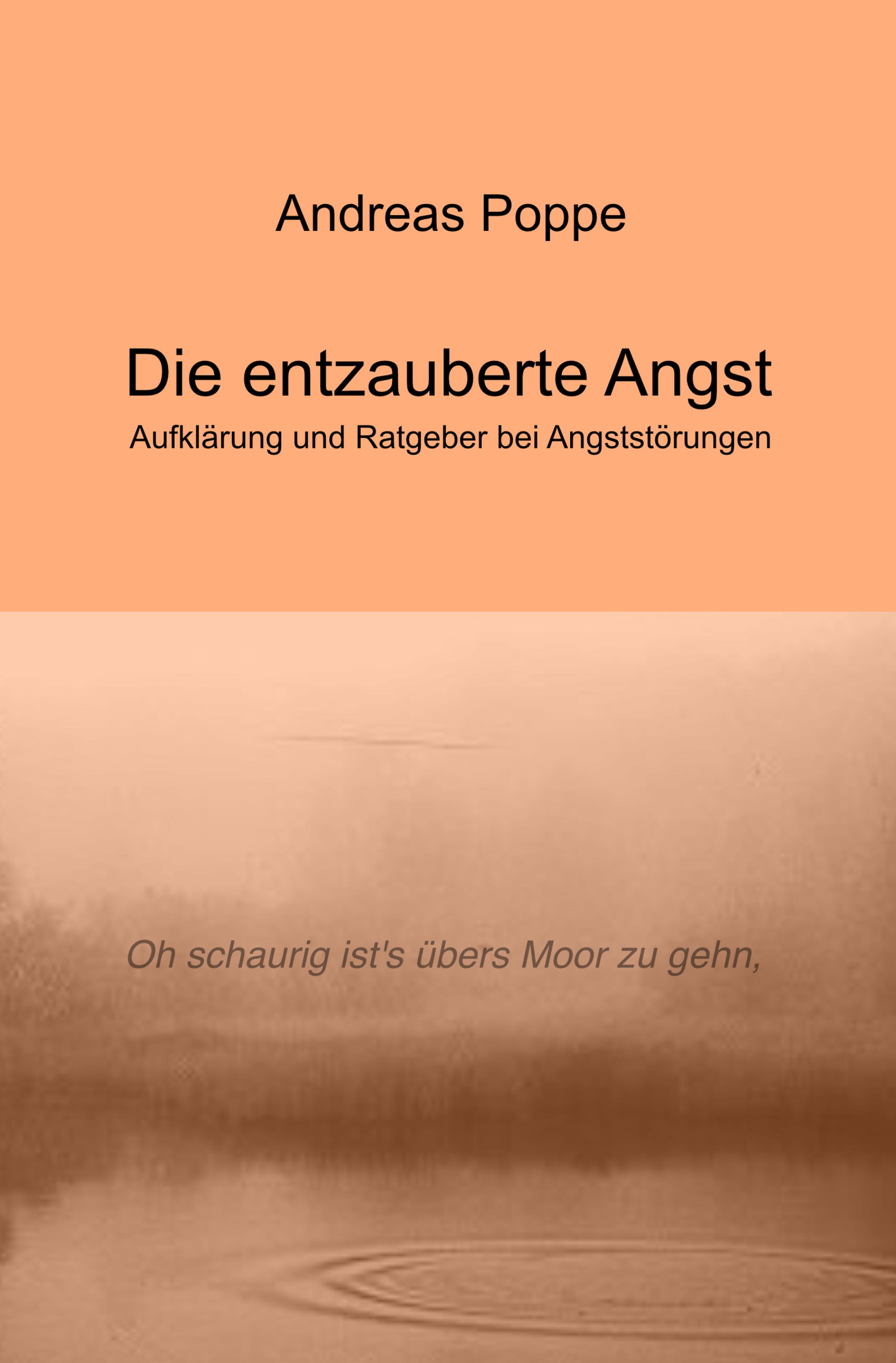 Обложка книги «Die entzauberte Angst»