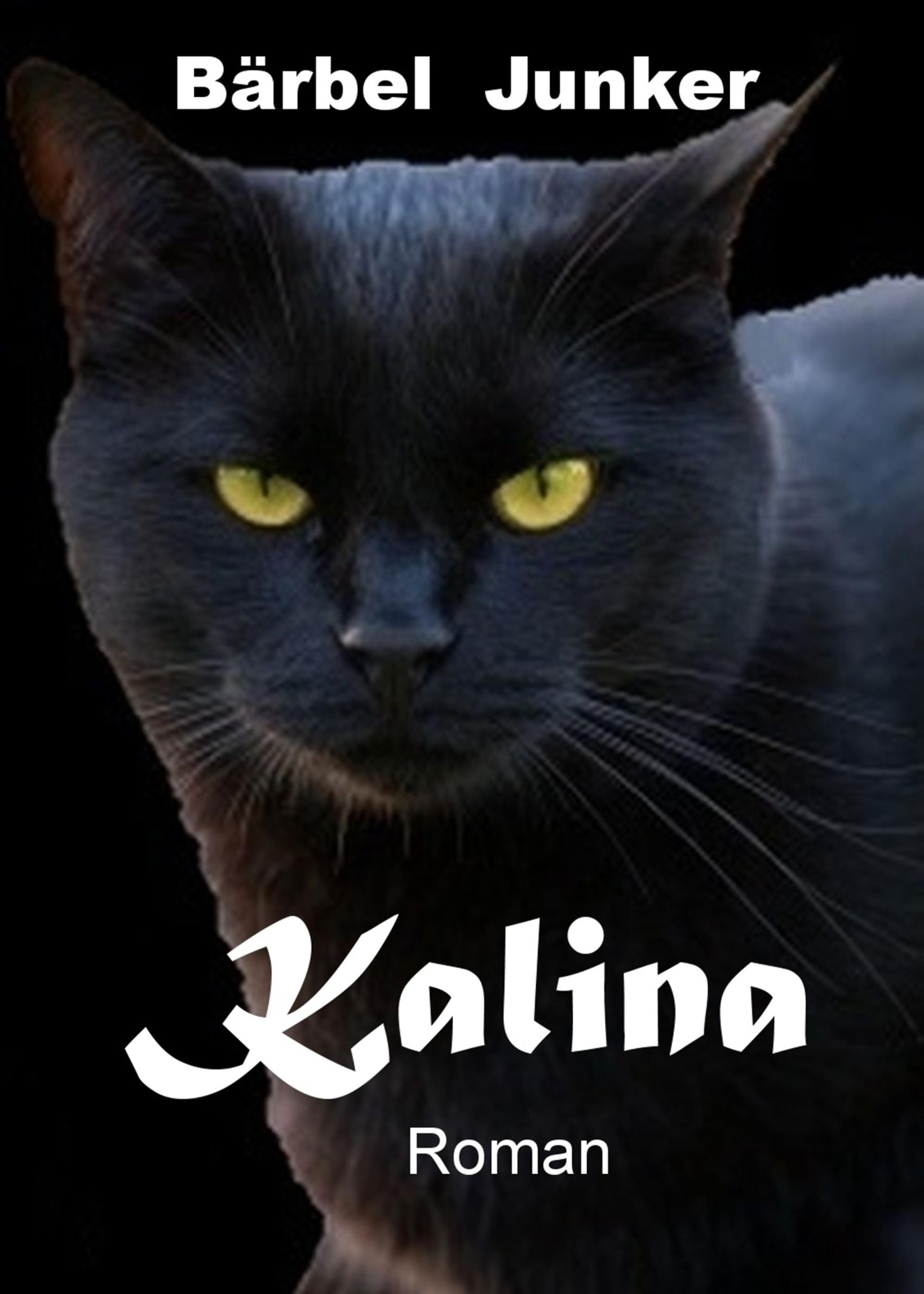 Обложка книги «Kalina»