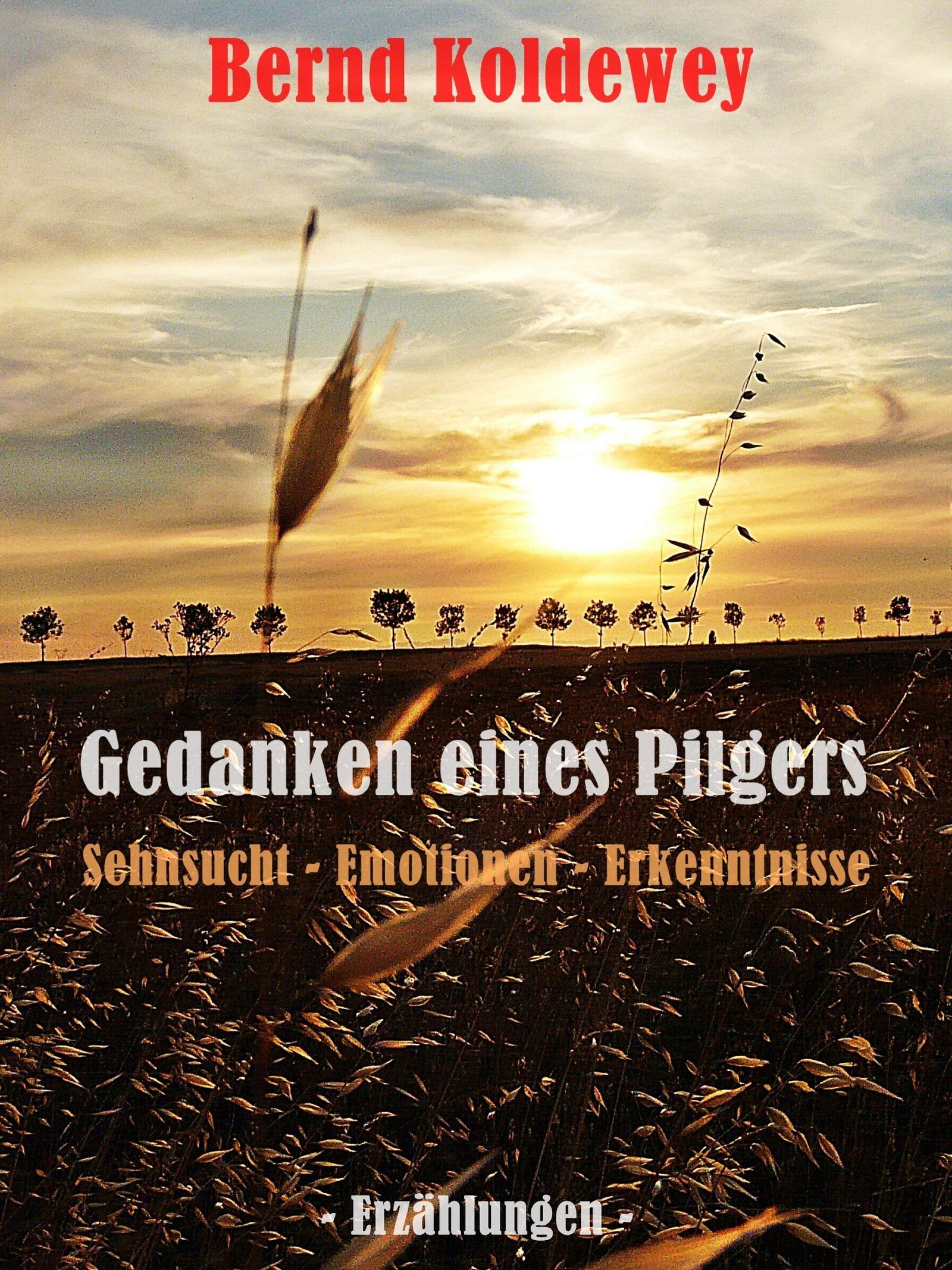 Обложка книги «Gedanken eines Pilgers»