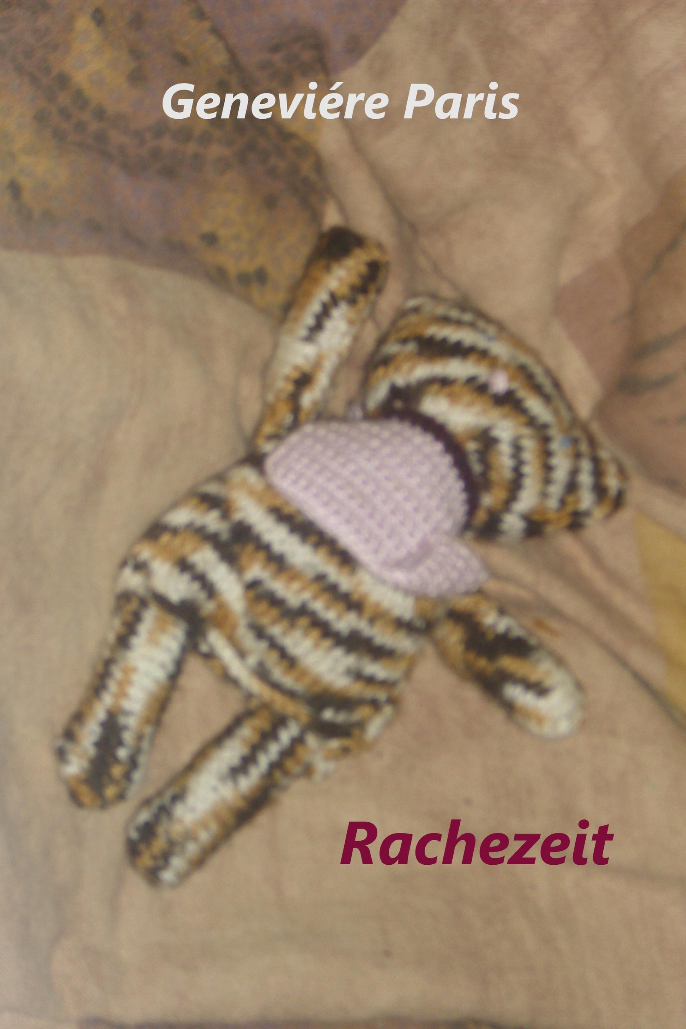 Обложка книги «Rachezeit»