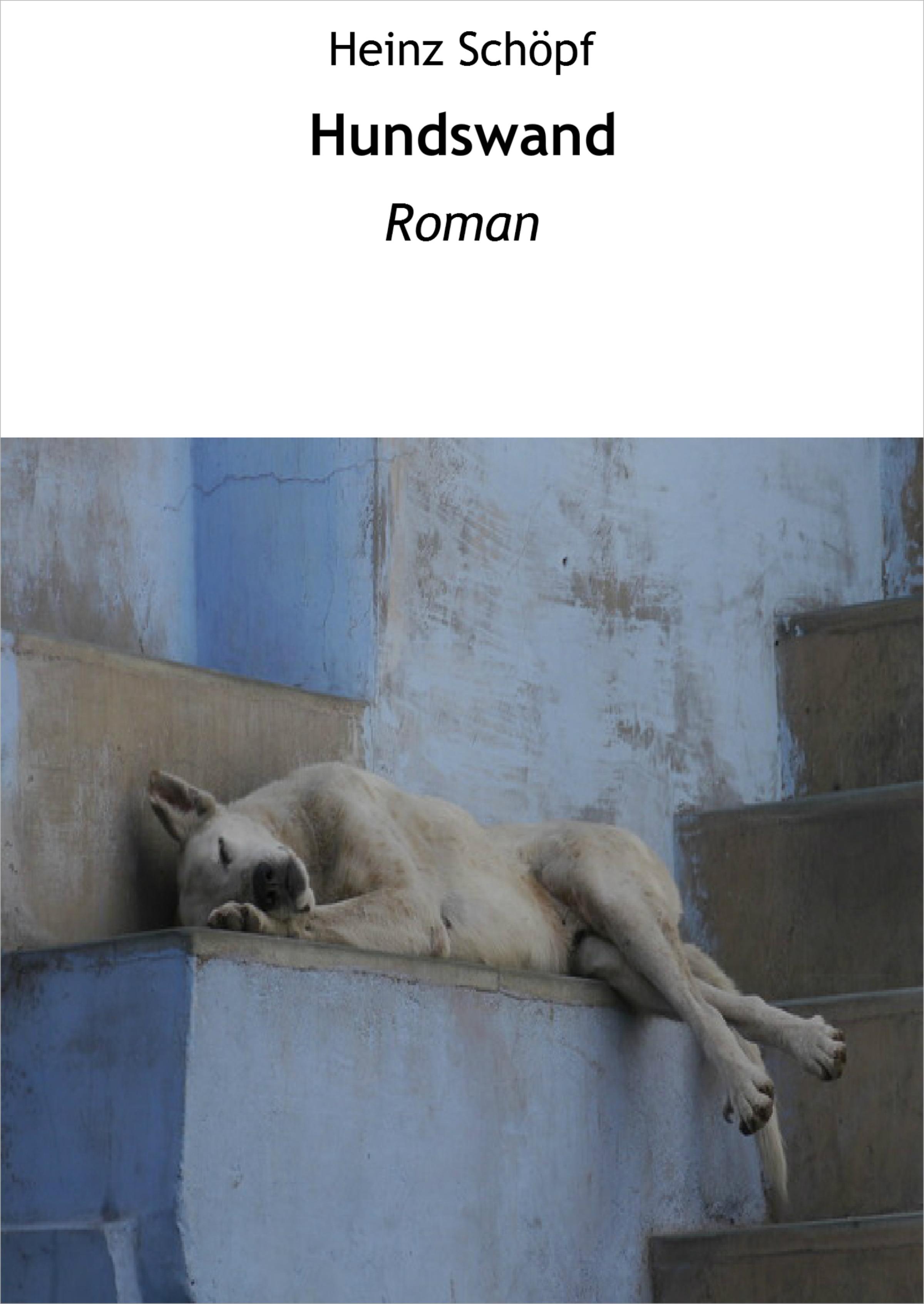 Обложка книги «Hundswand»