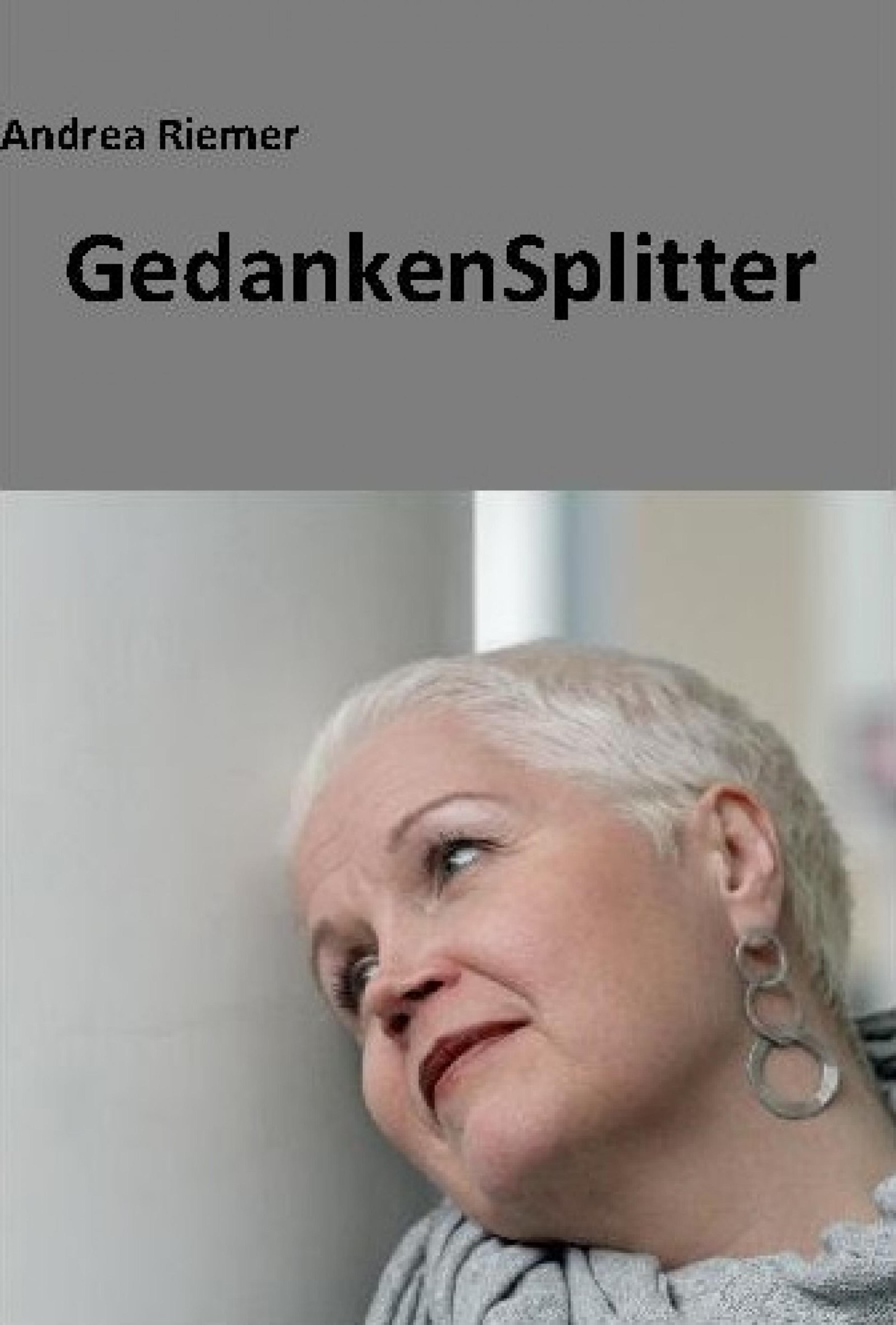 Обложка книги «GedankenSplitter»