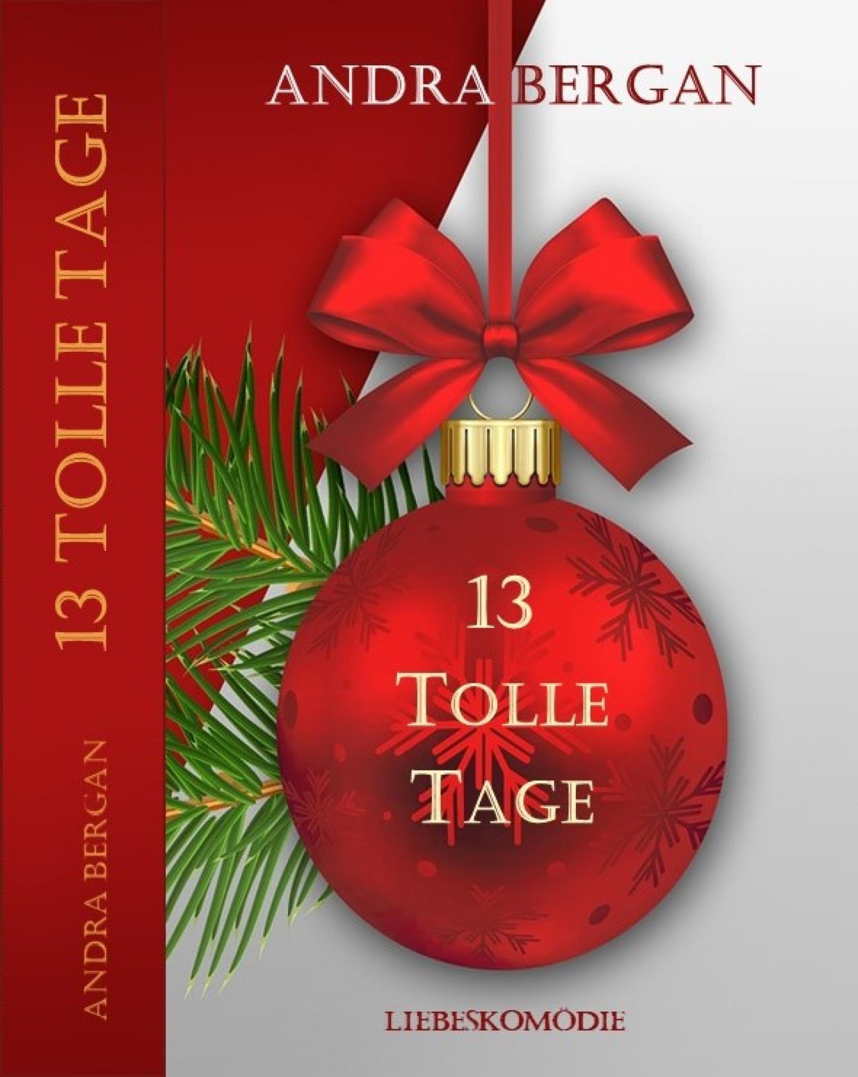 Обложка книги «13 tolle Tage»