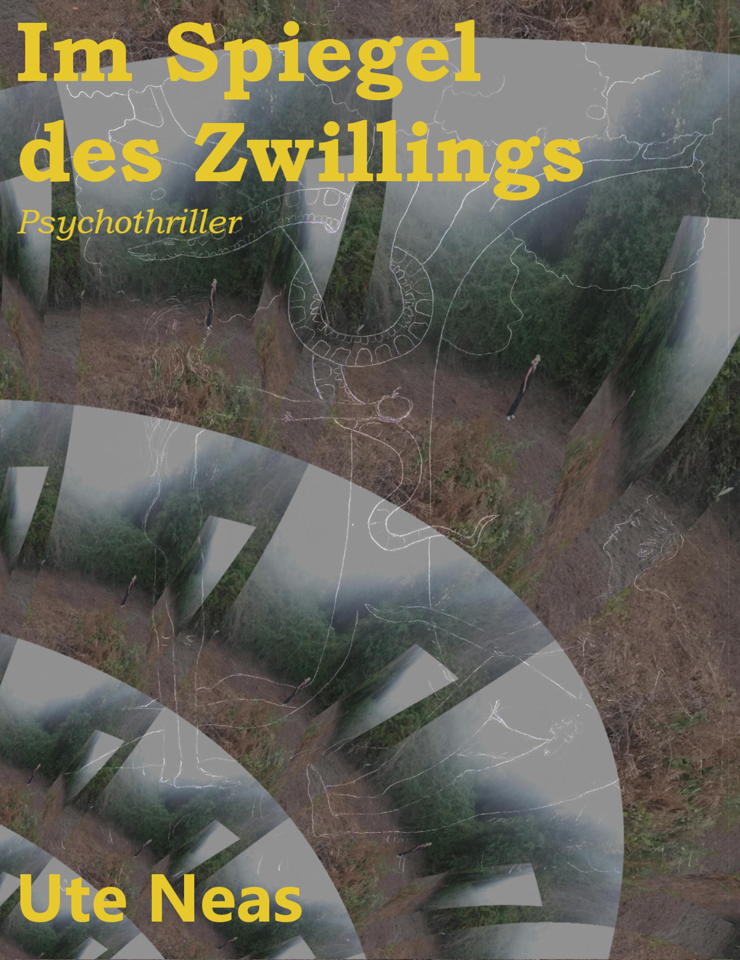Обложка книги «Im Spiegel des Zwillings»