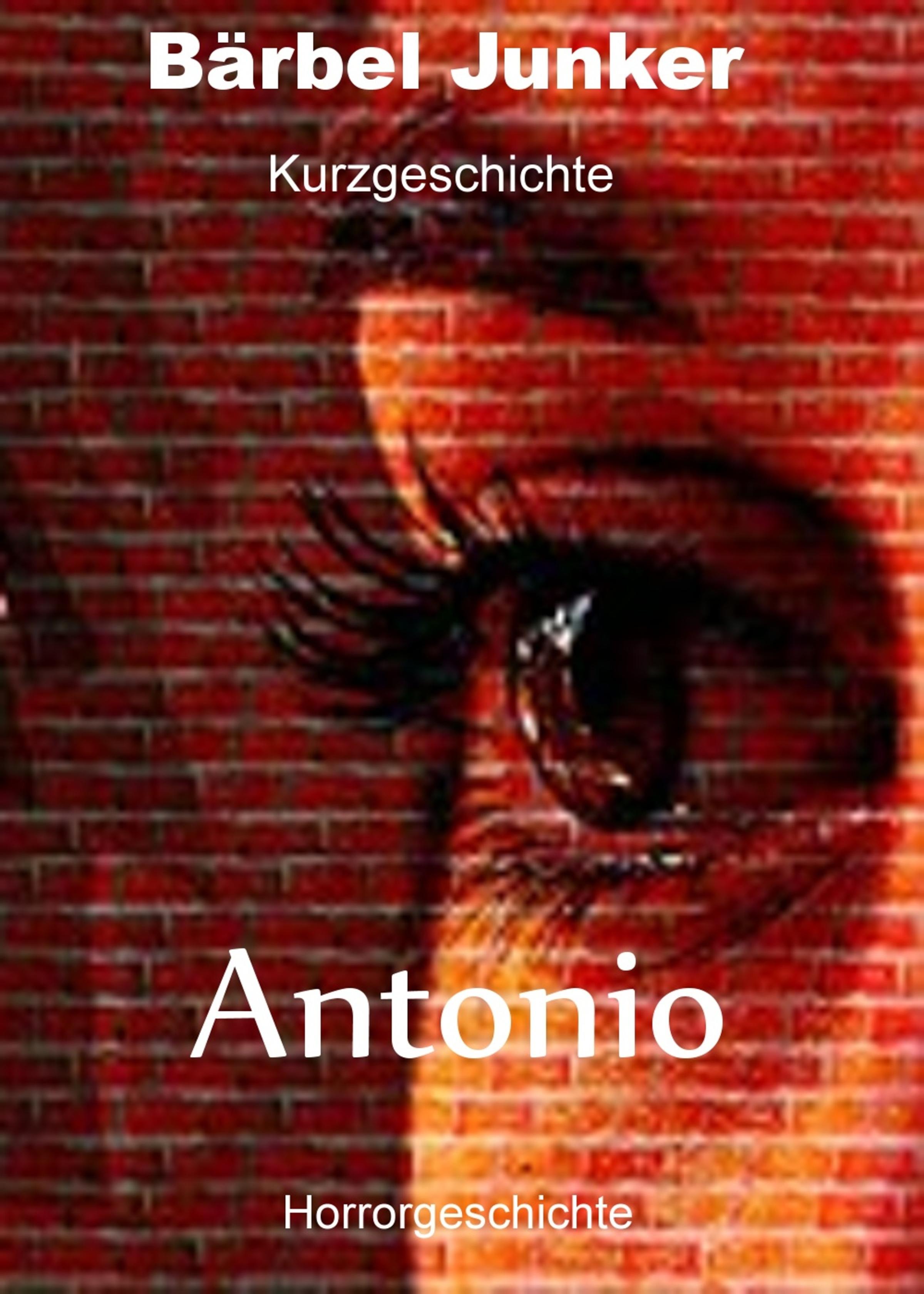 Обложка книги «Antonio»