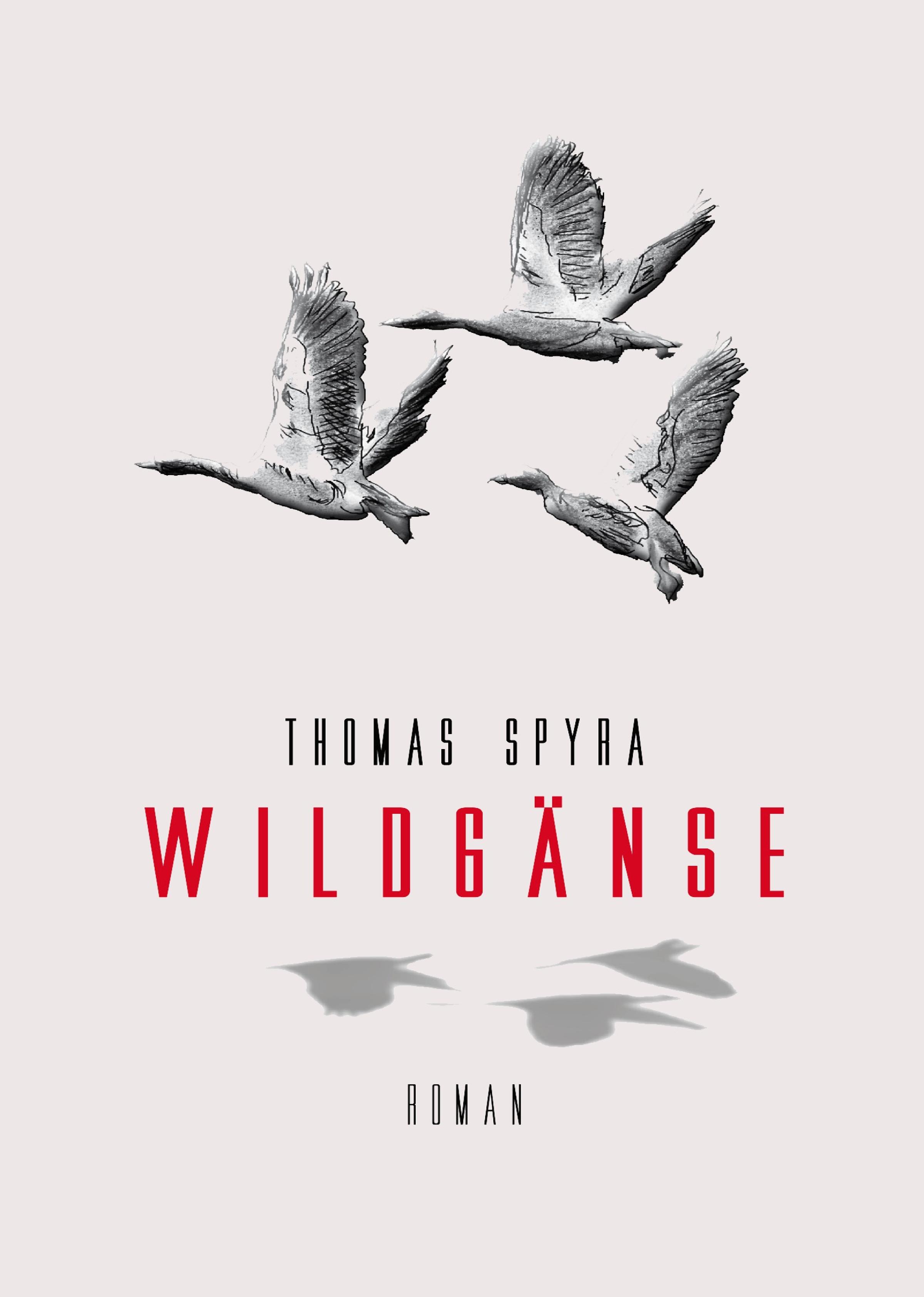 Обложка книги «Wildgänse»