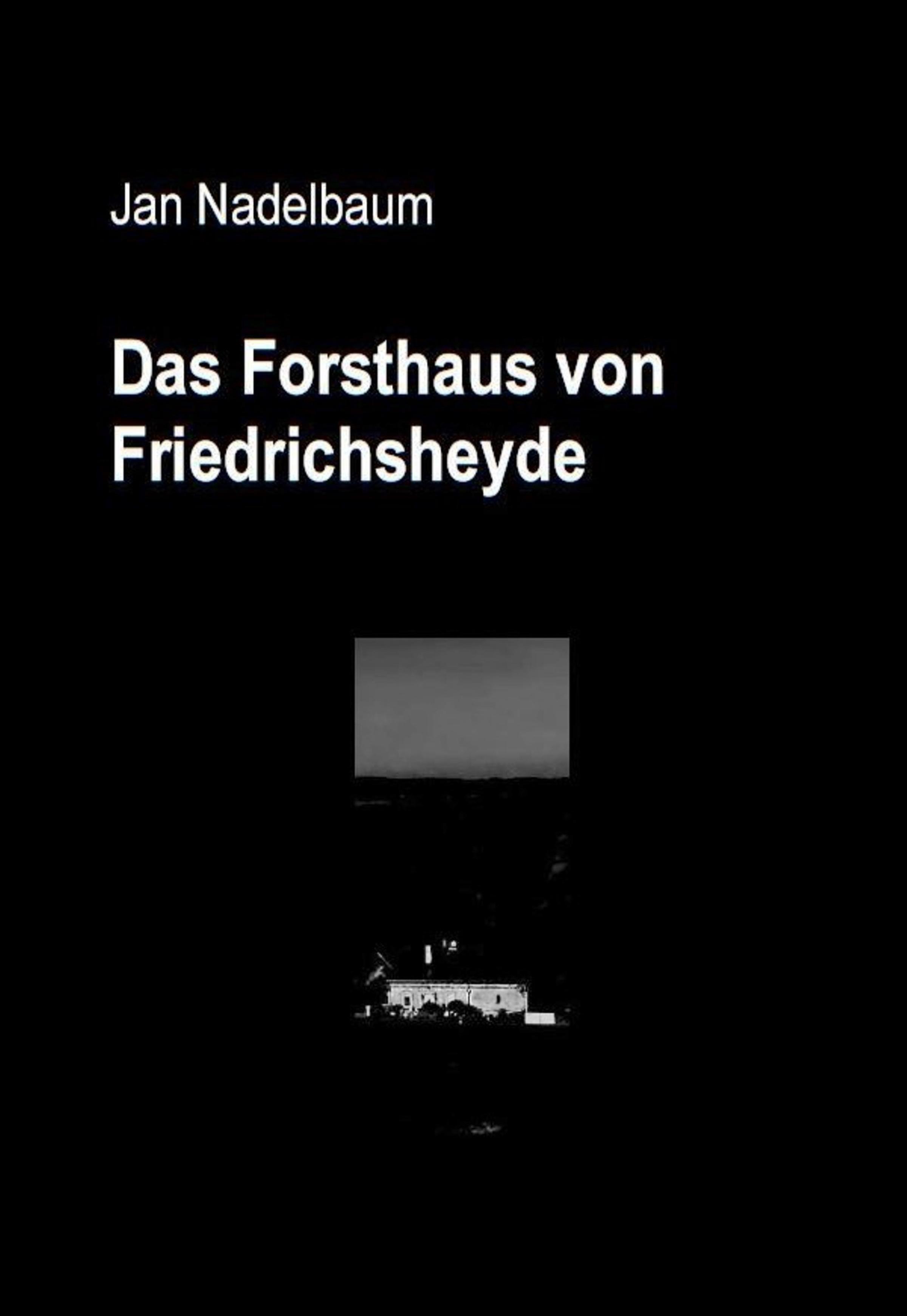 Обложка книги «Das Forsthaus von Friedrichsheyde»