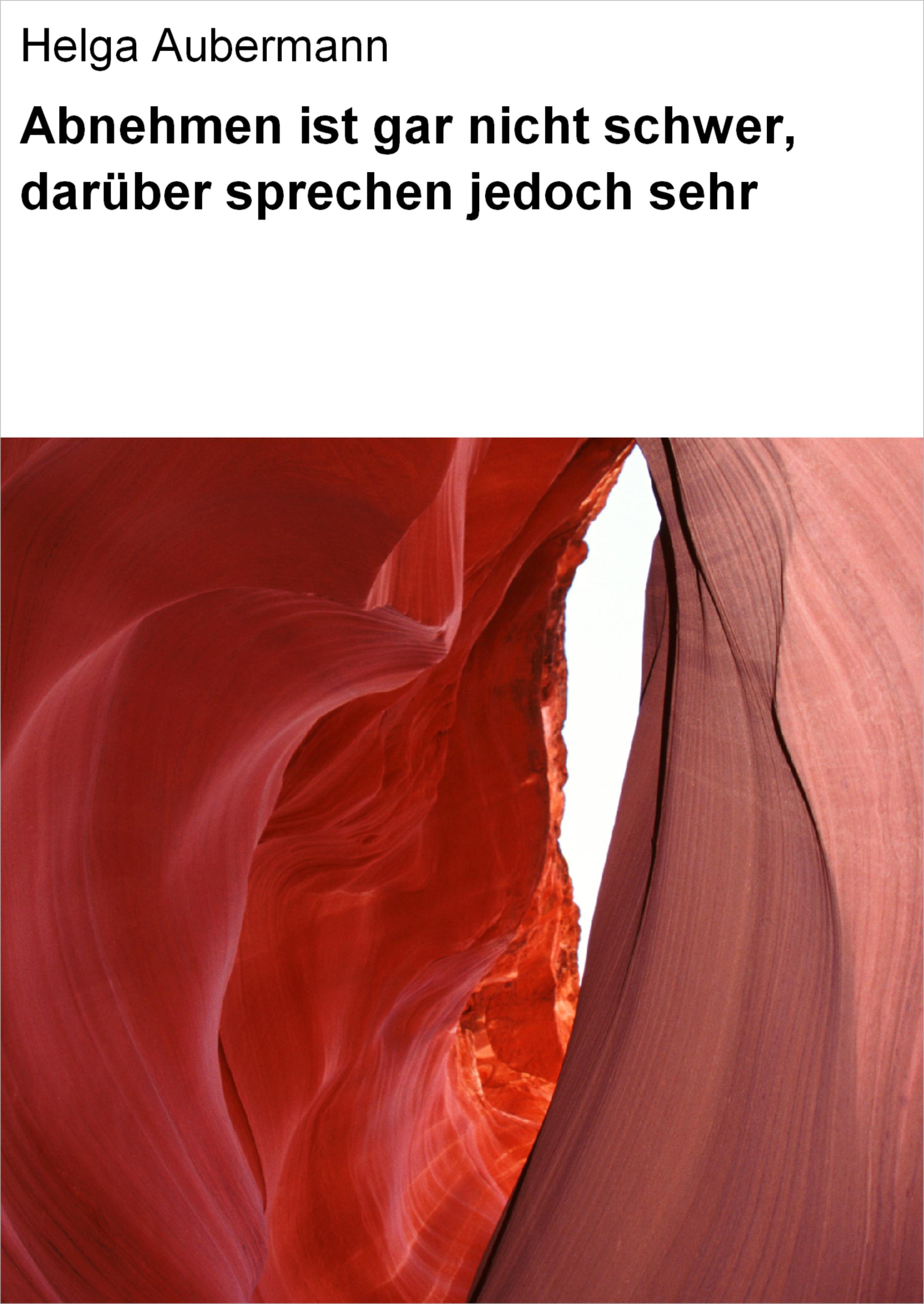 Обложка книги «Abnehmen ist gar nicht schwer, darüber sprechen jedoch sehr»