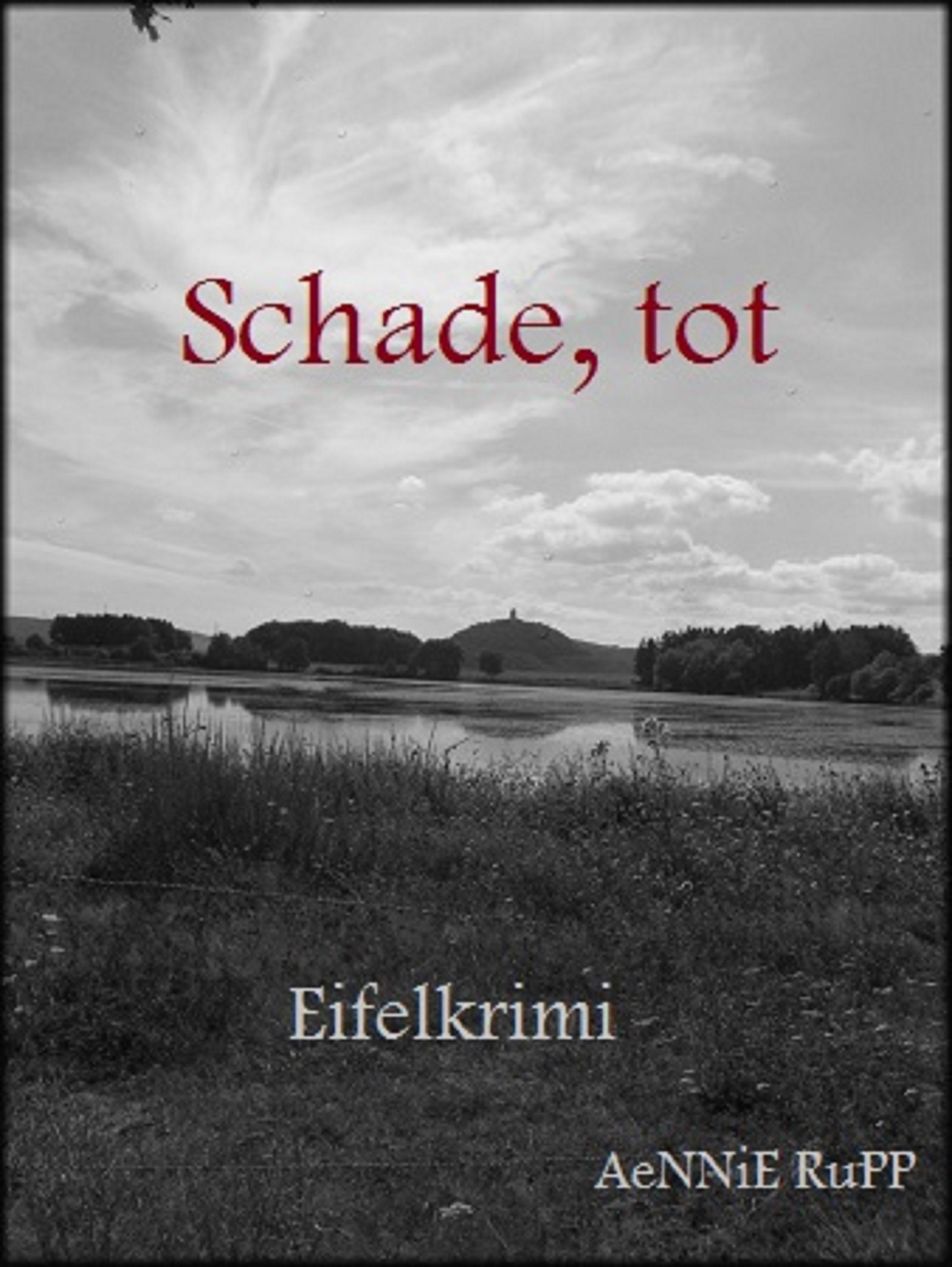 Обложка книги «Schade, tot»