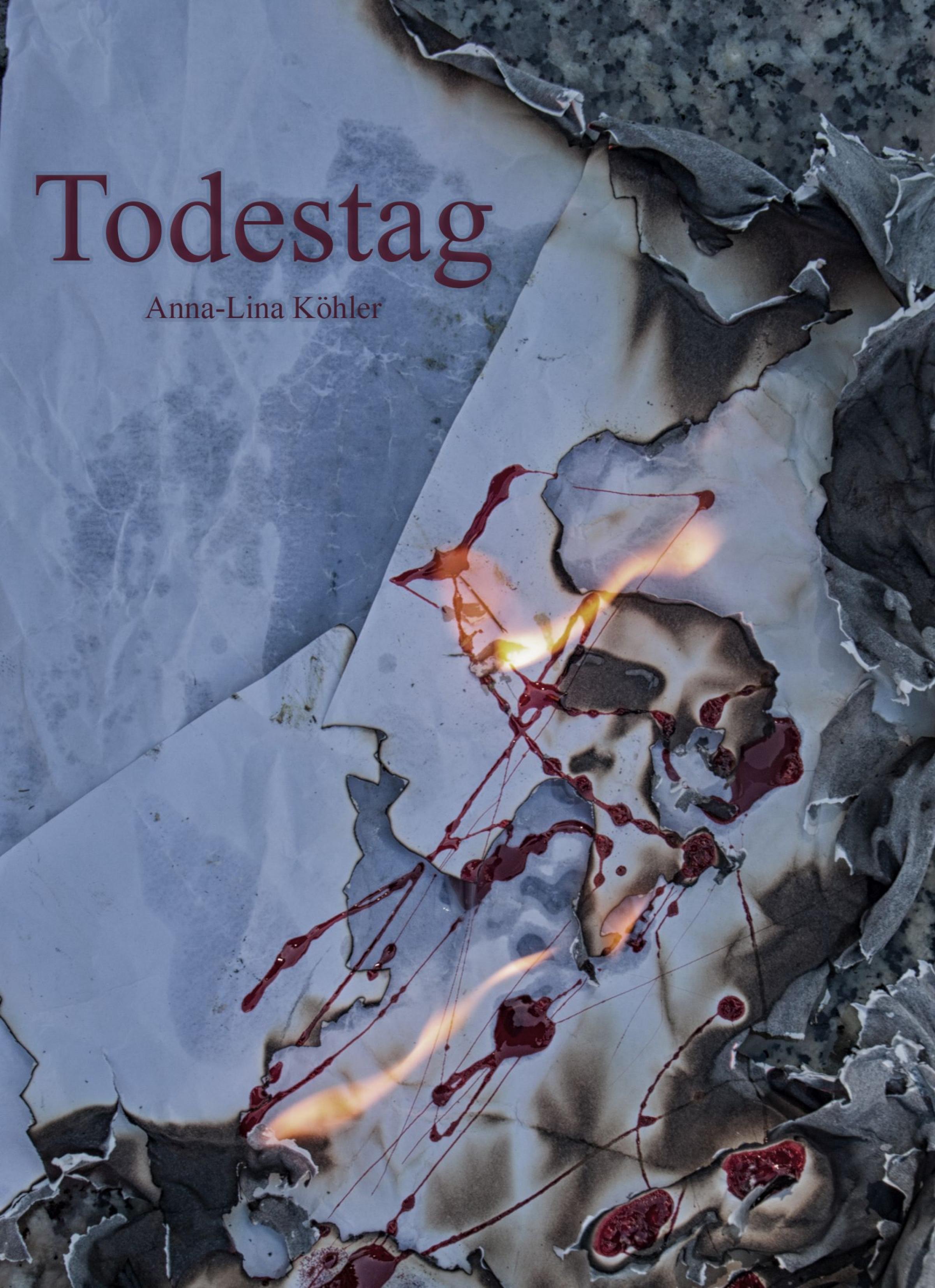 Обложка книги «Todestag»