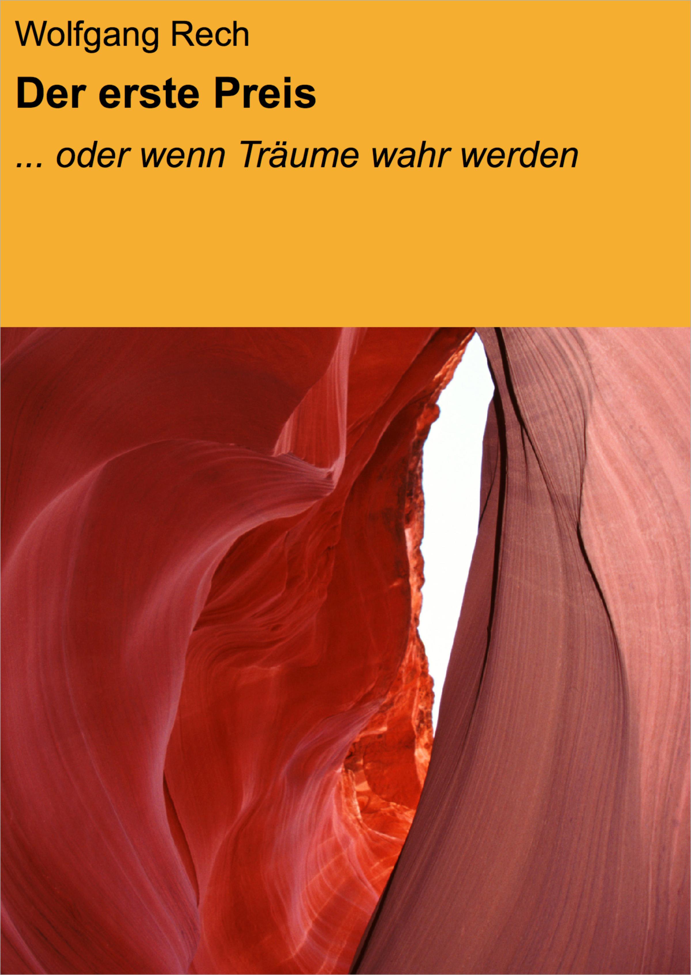 Обложка книги «Der erste Preis»