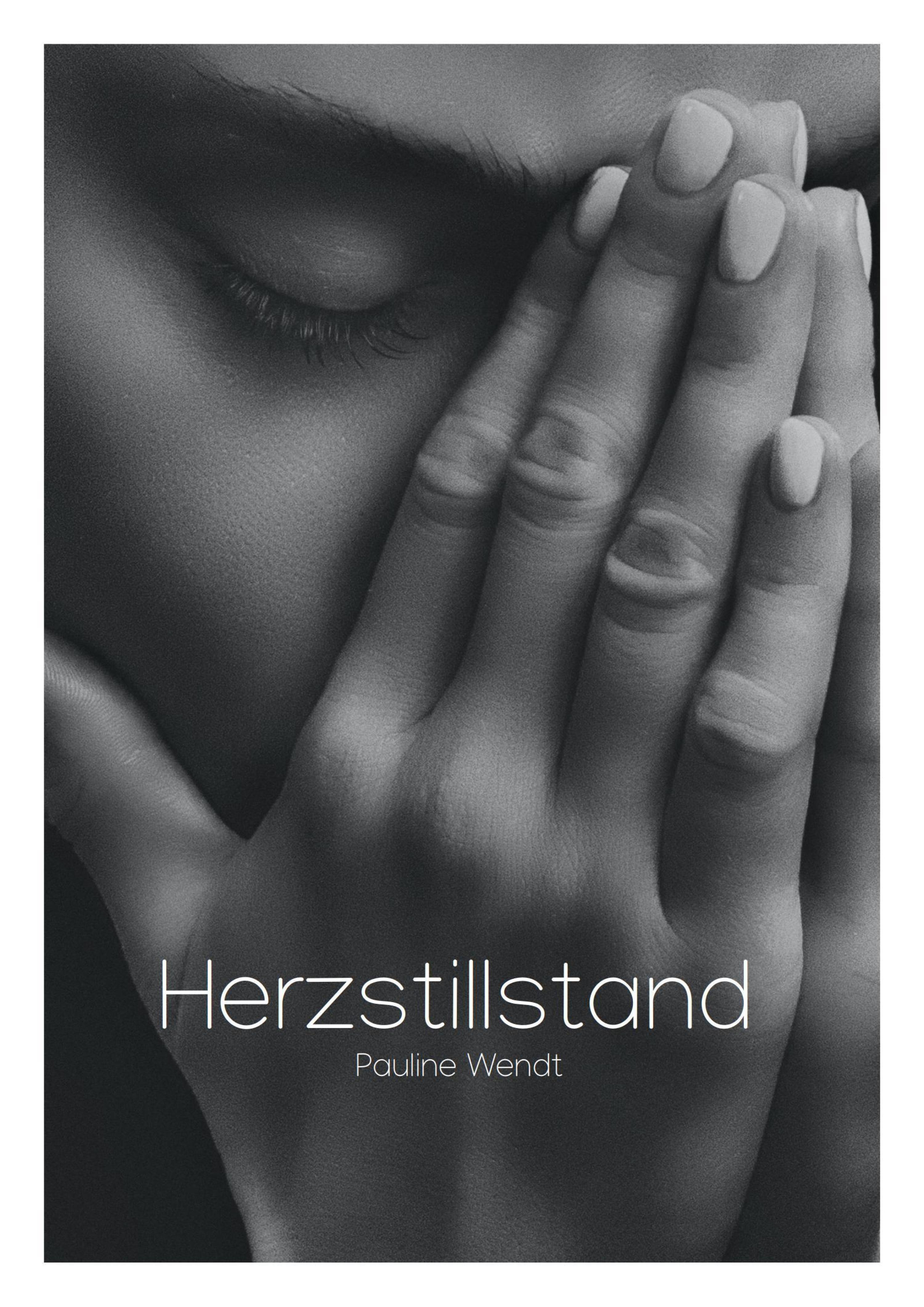 Обложка книги «Herzstillstand»