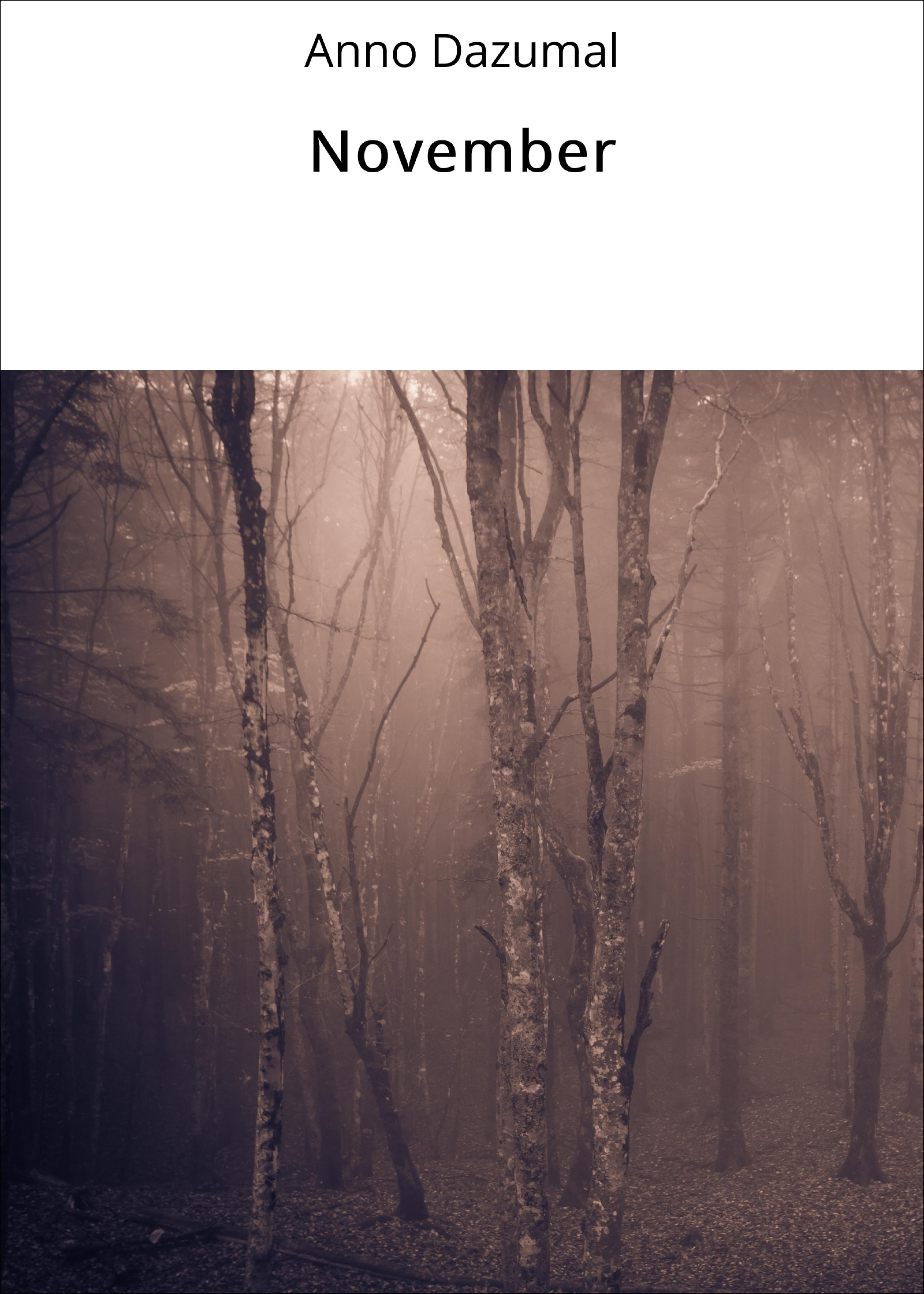 Обложка книги «November»