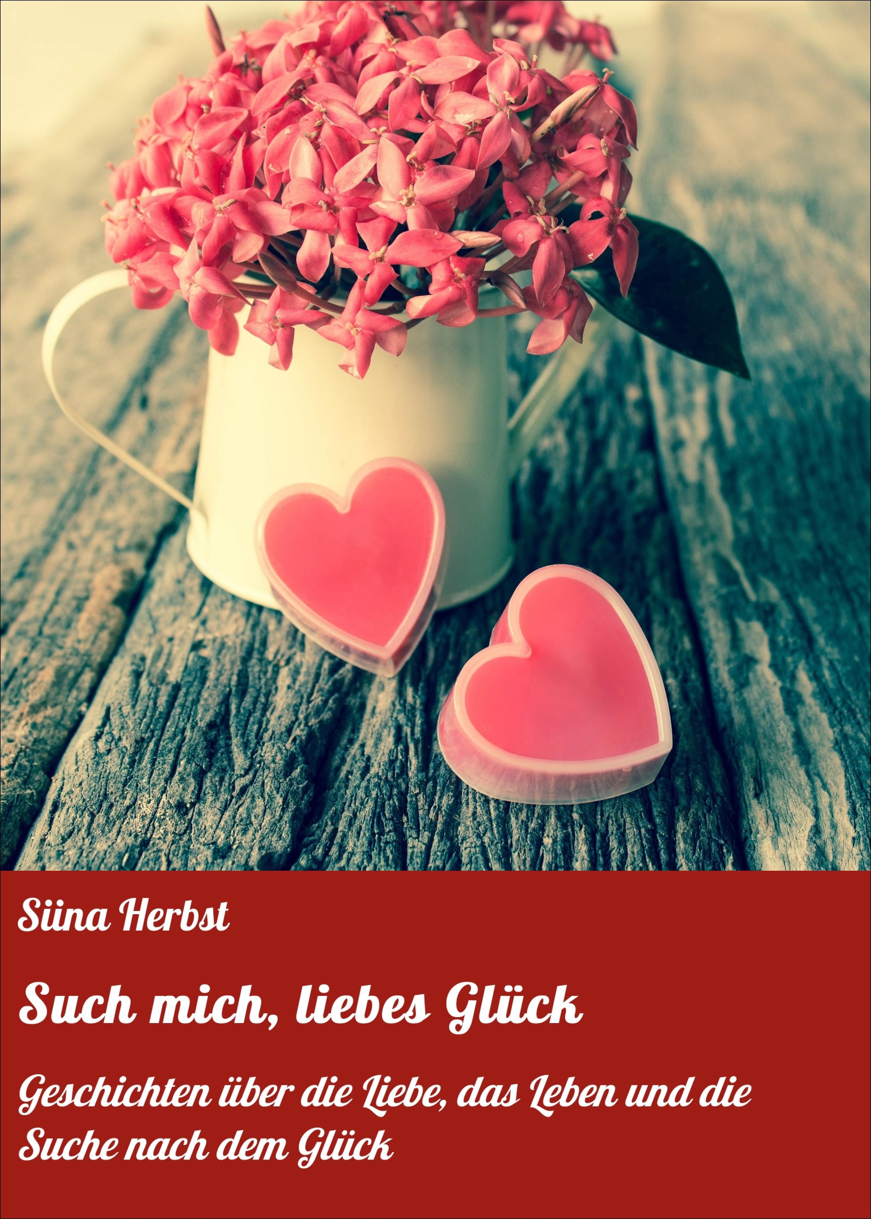 Обложка книги «Such mich, liebes Glück»