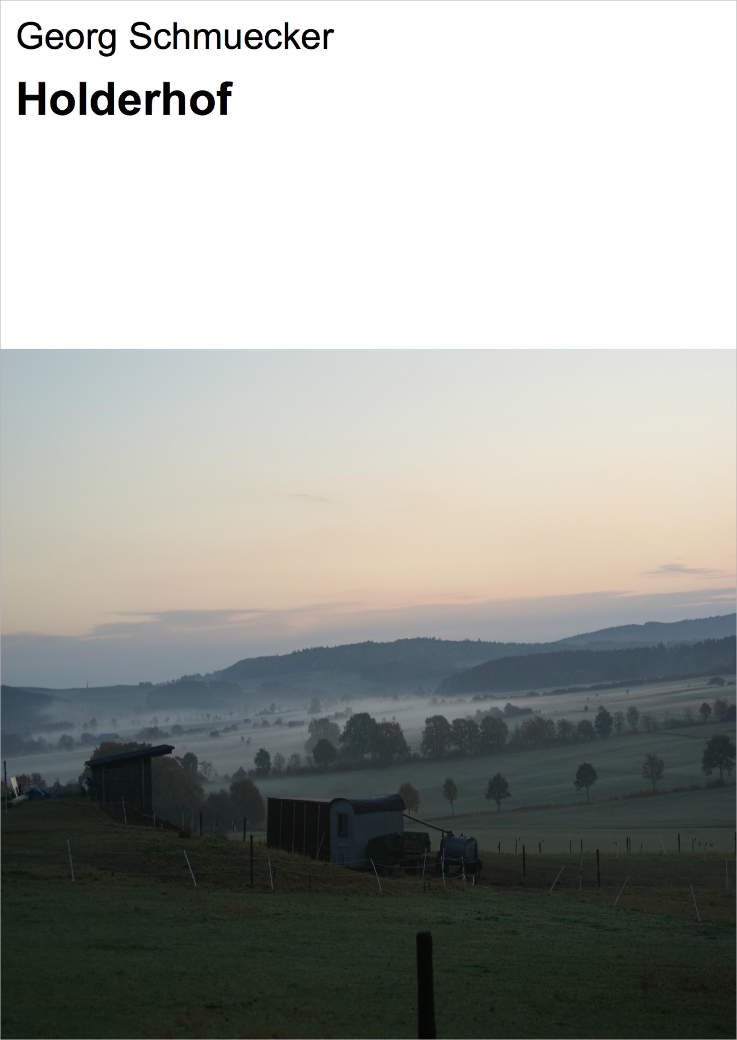 Обложка книги «Holderhof»
