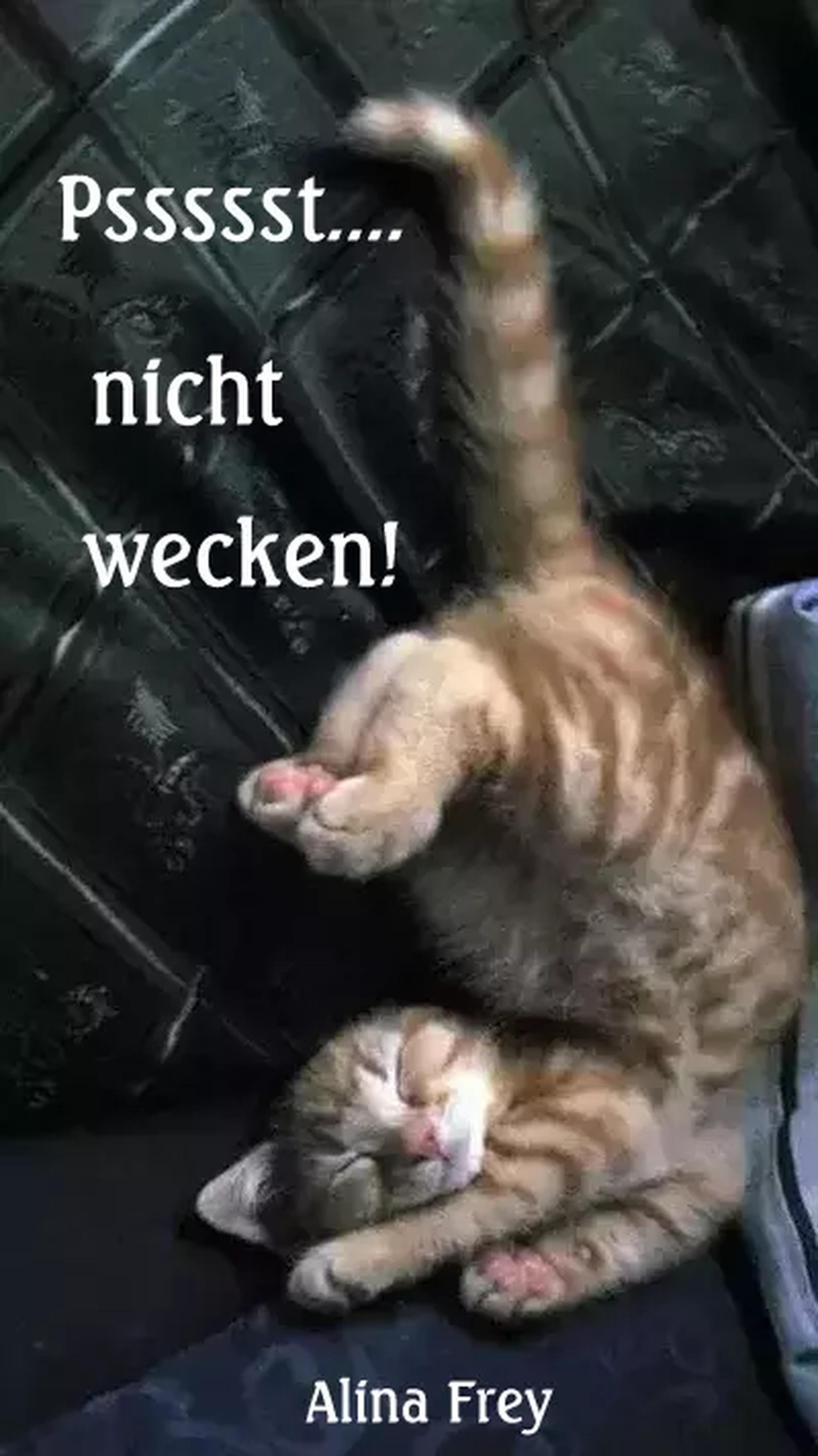 Обложка книги «Psssst... nicht wecken!»