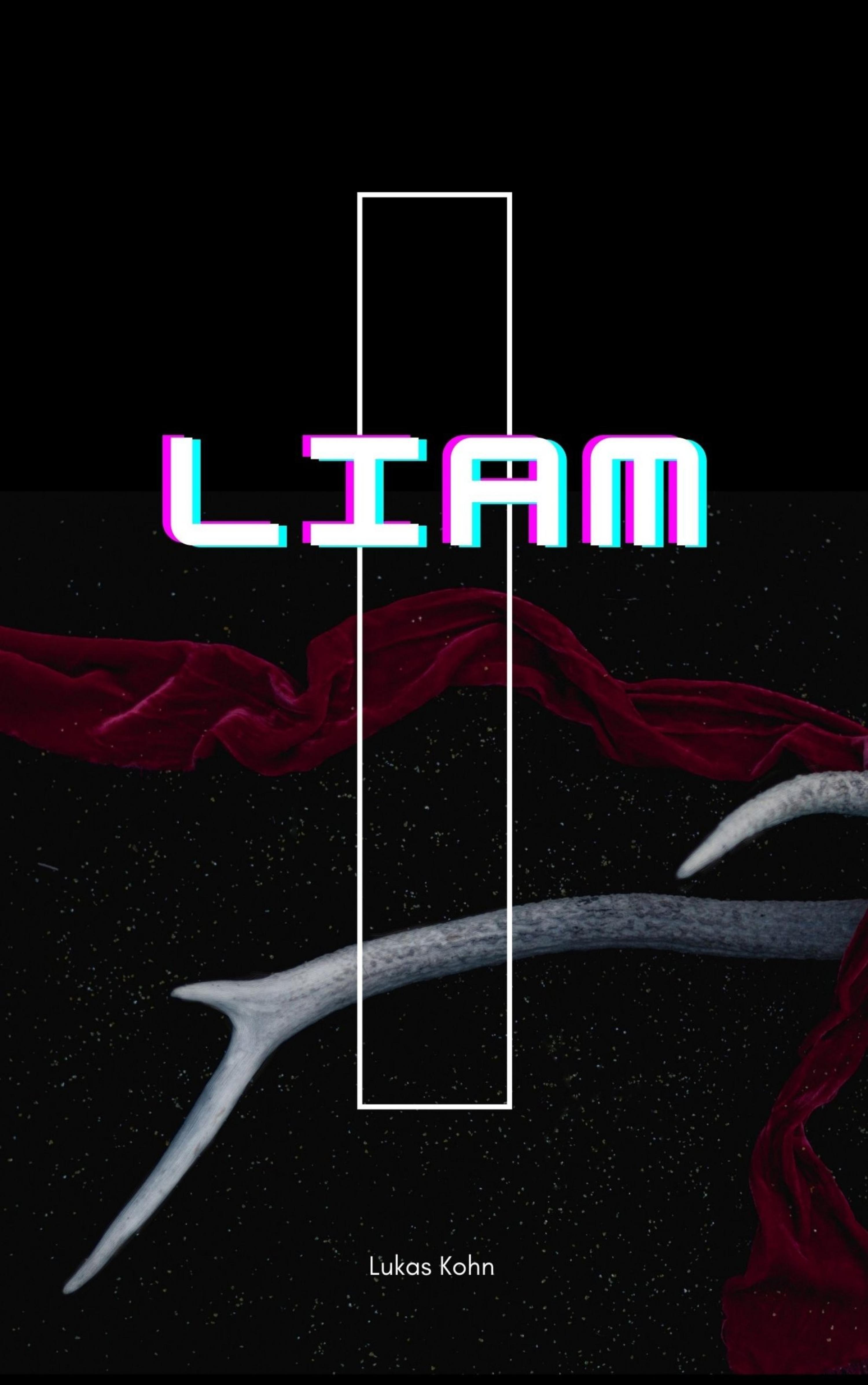 Обложка книги «Liam»
