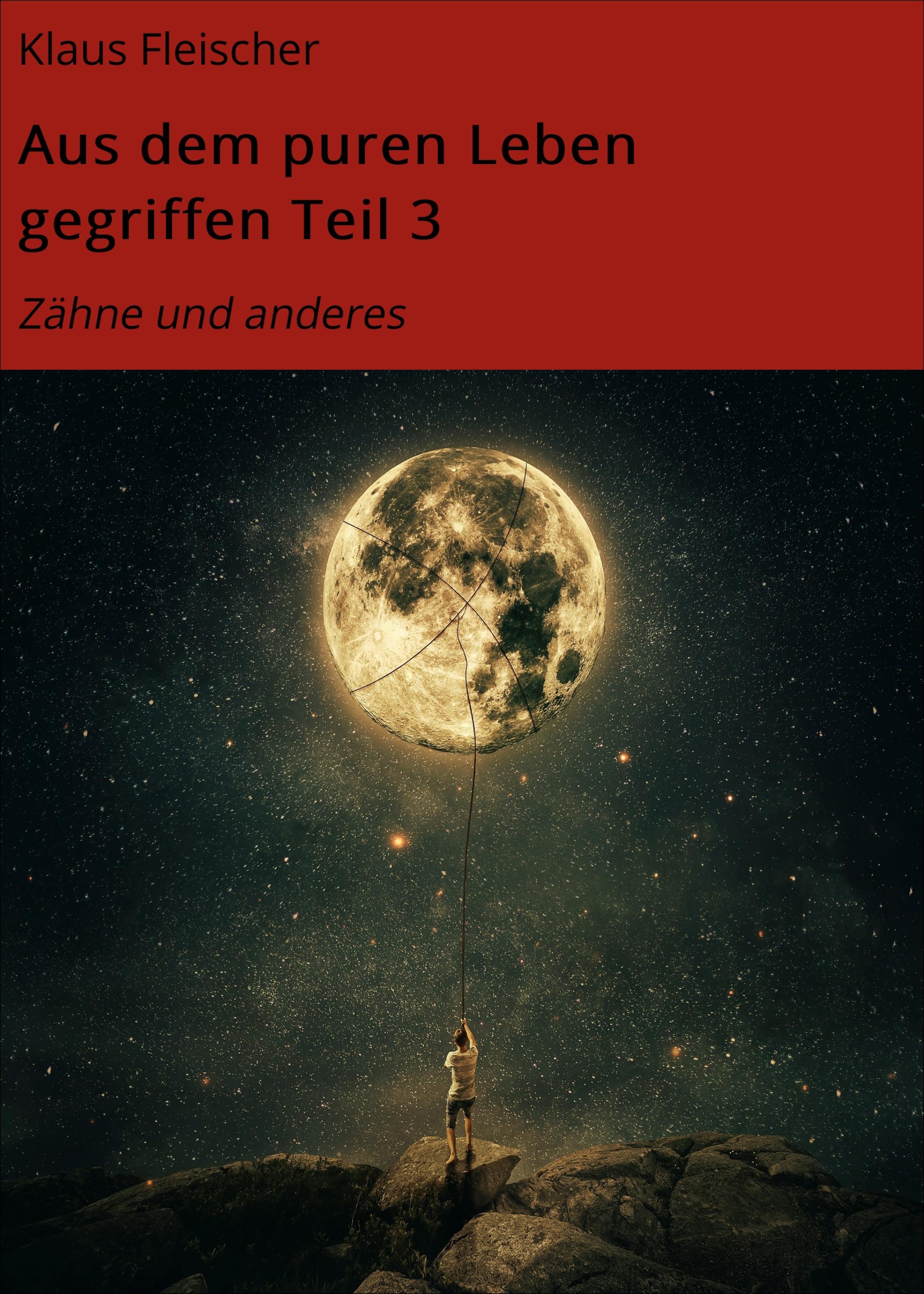 Обложка книги «Aus dem puren Leben gegriffen Teil 3»