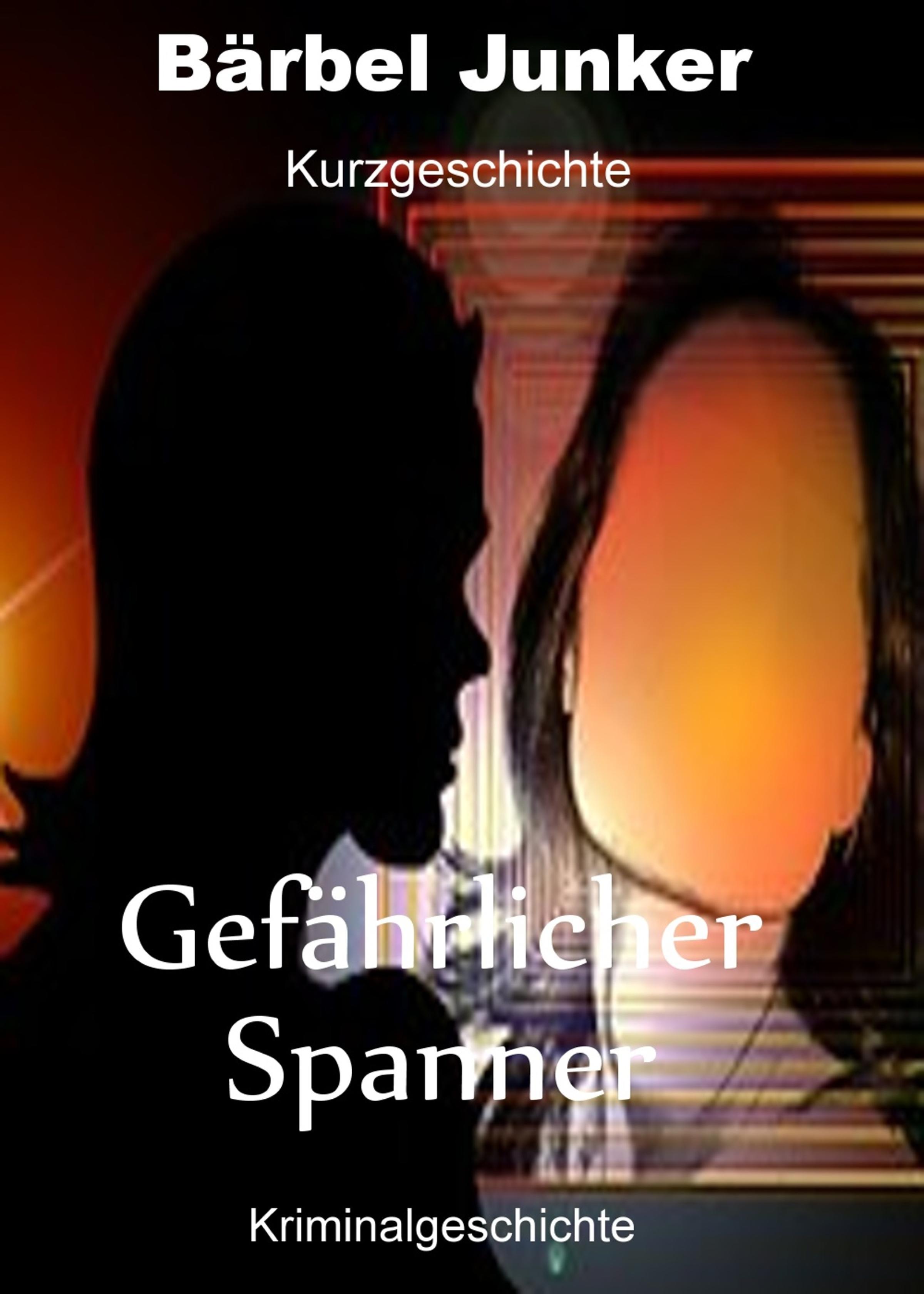 Обложка книги «Gefährlicher Spanner»