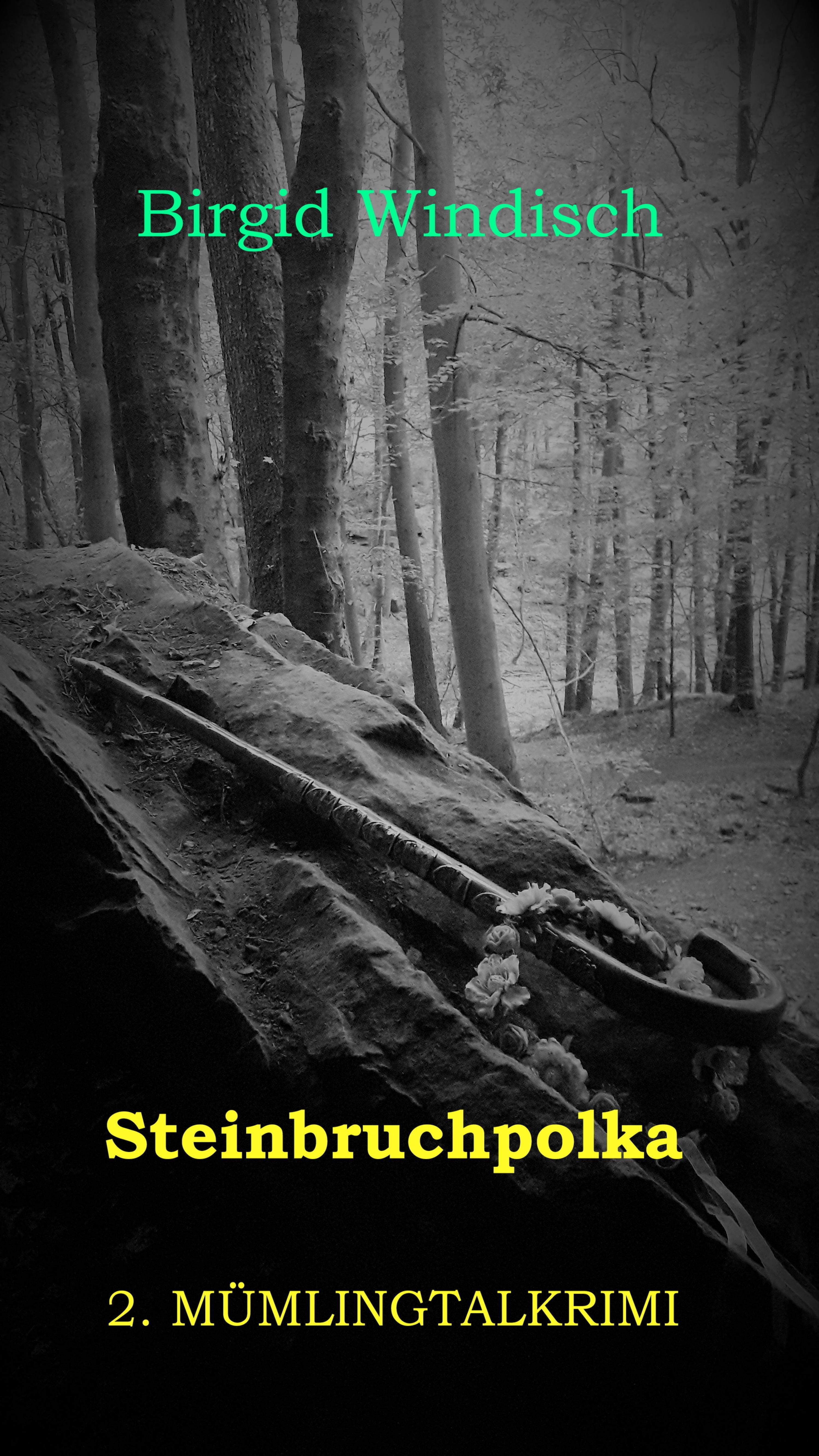 Обложка книги «Steinbruchpolka»