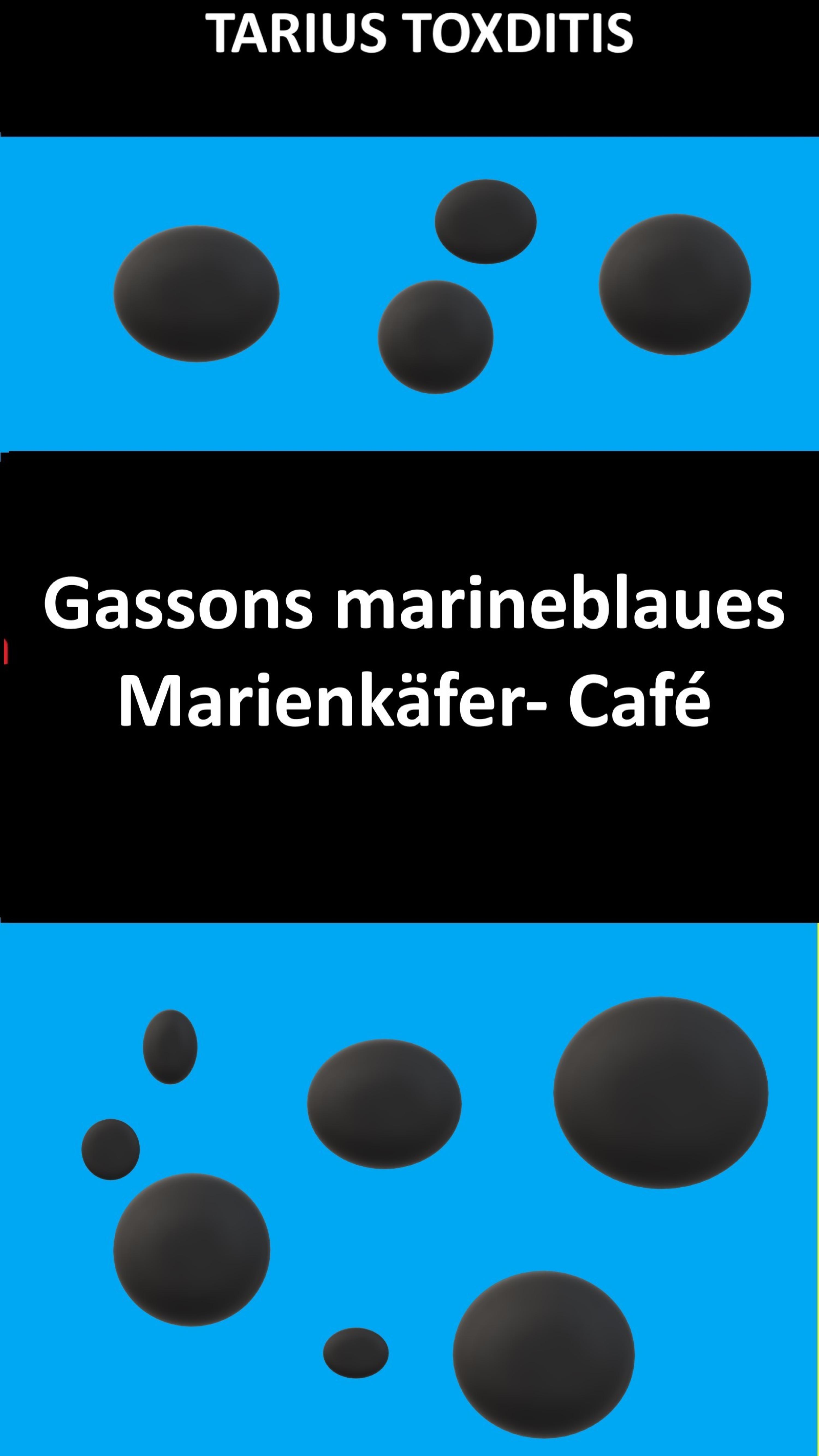 Обложка книги «Gassons marineblaues Marienkäfer- Café»