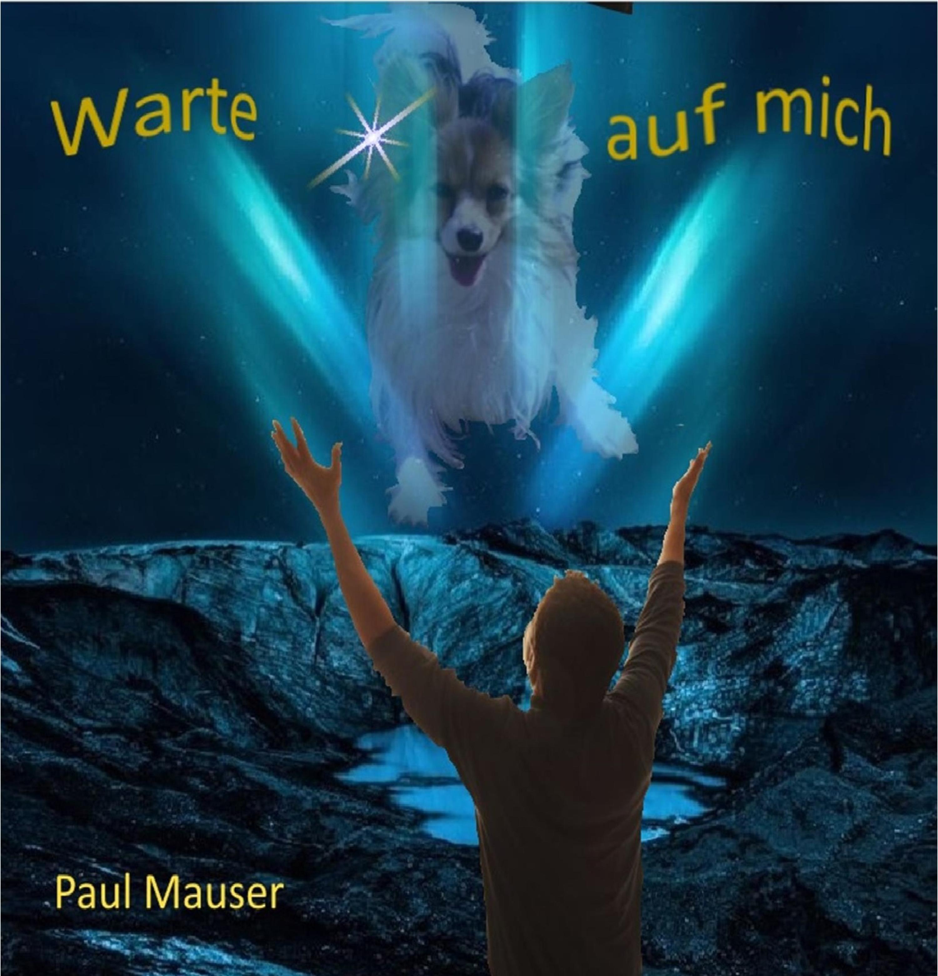 Обложка книги «Warte auf mich»