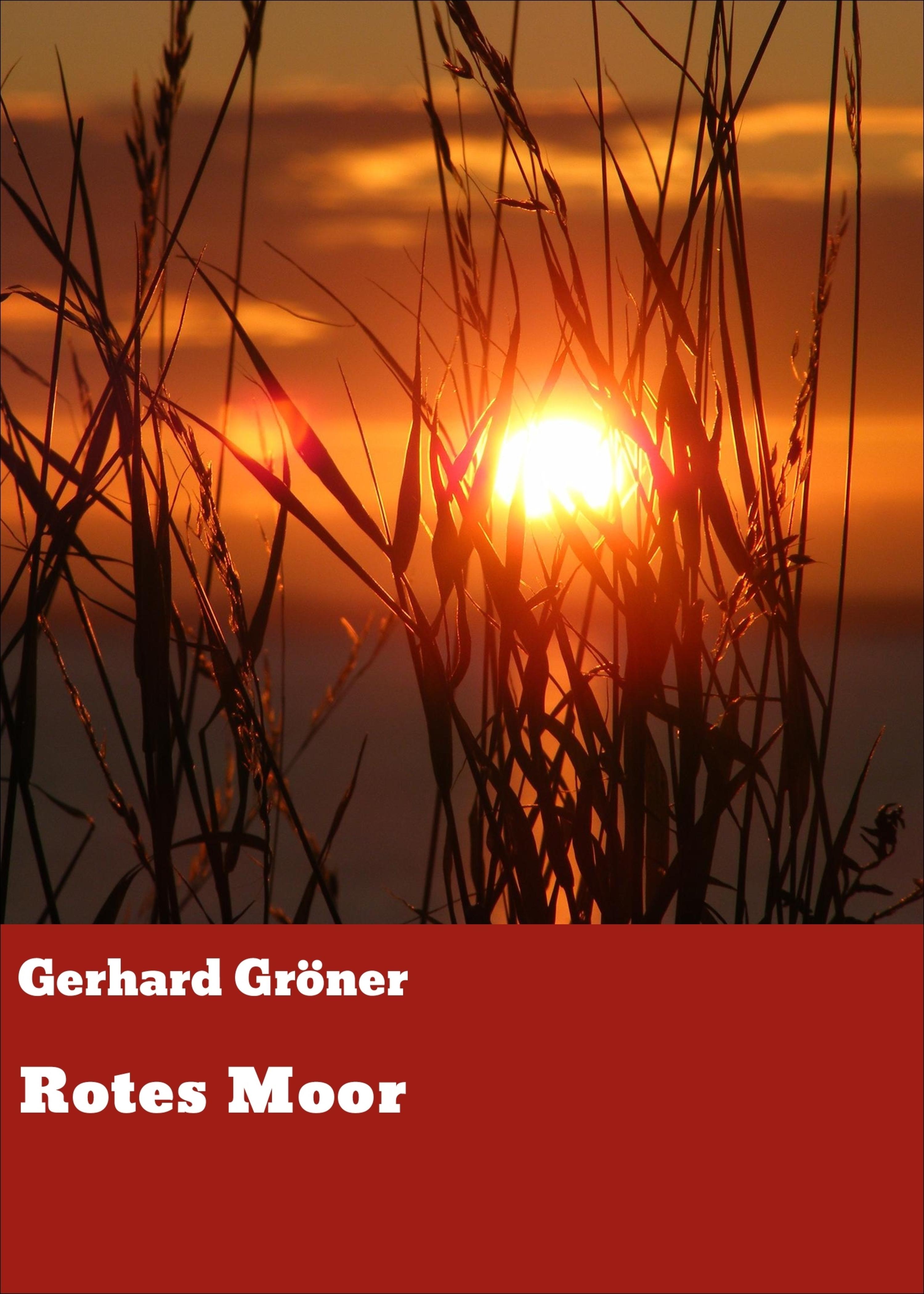 Обложка книги «Rotes Moor»