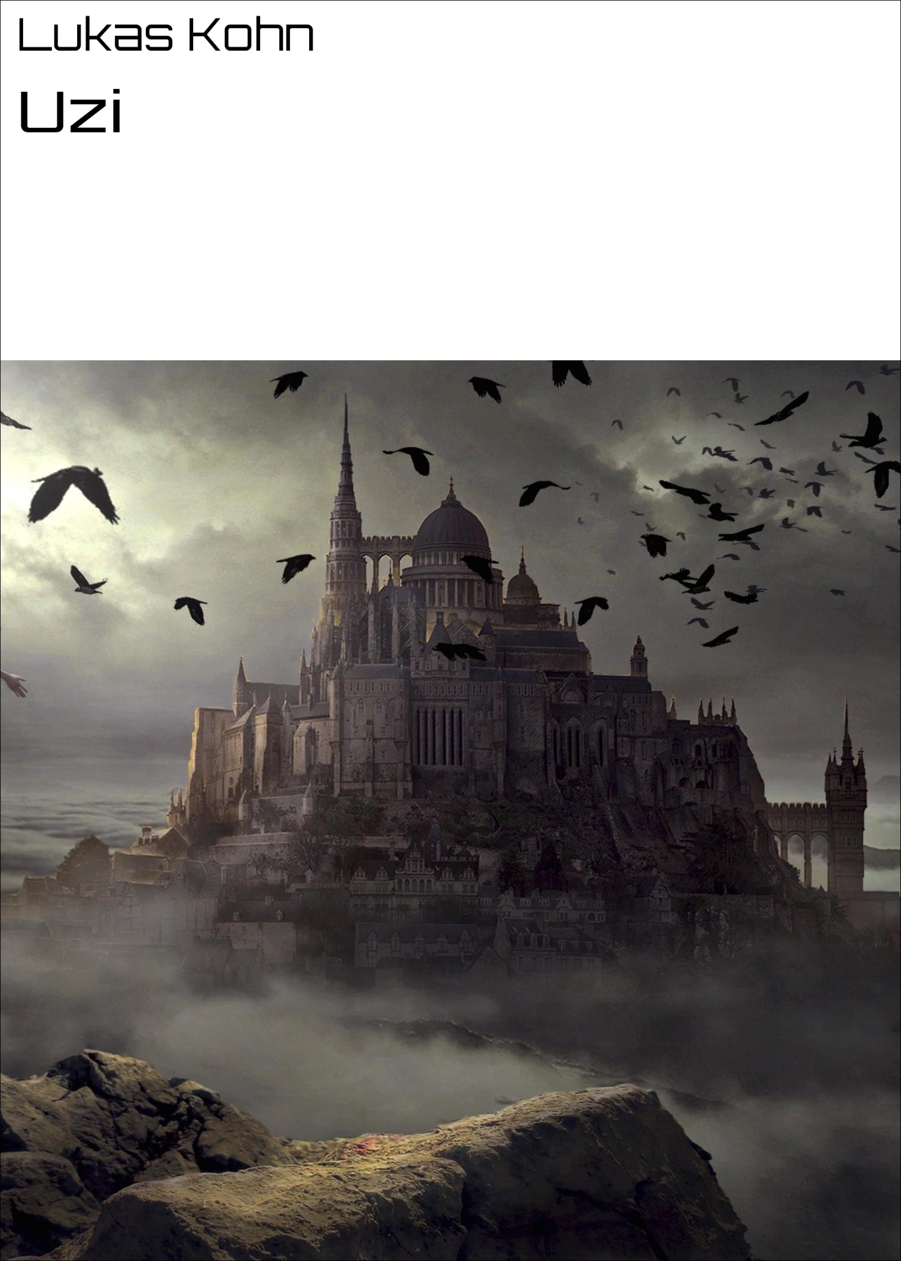 Обложка книги «Uzi»