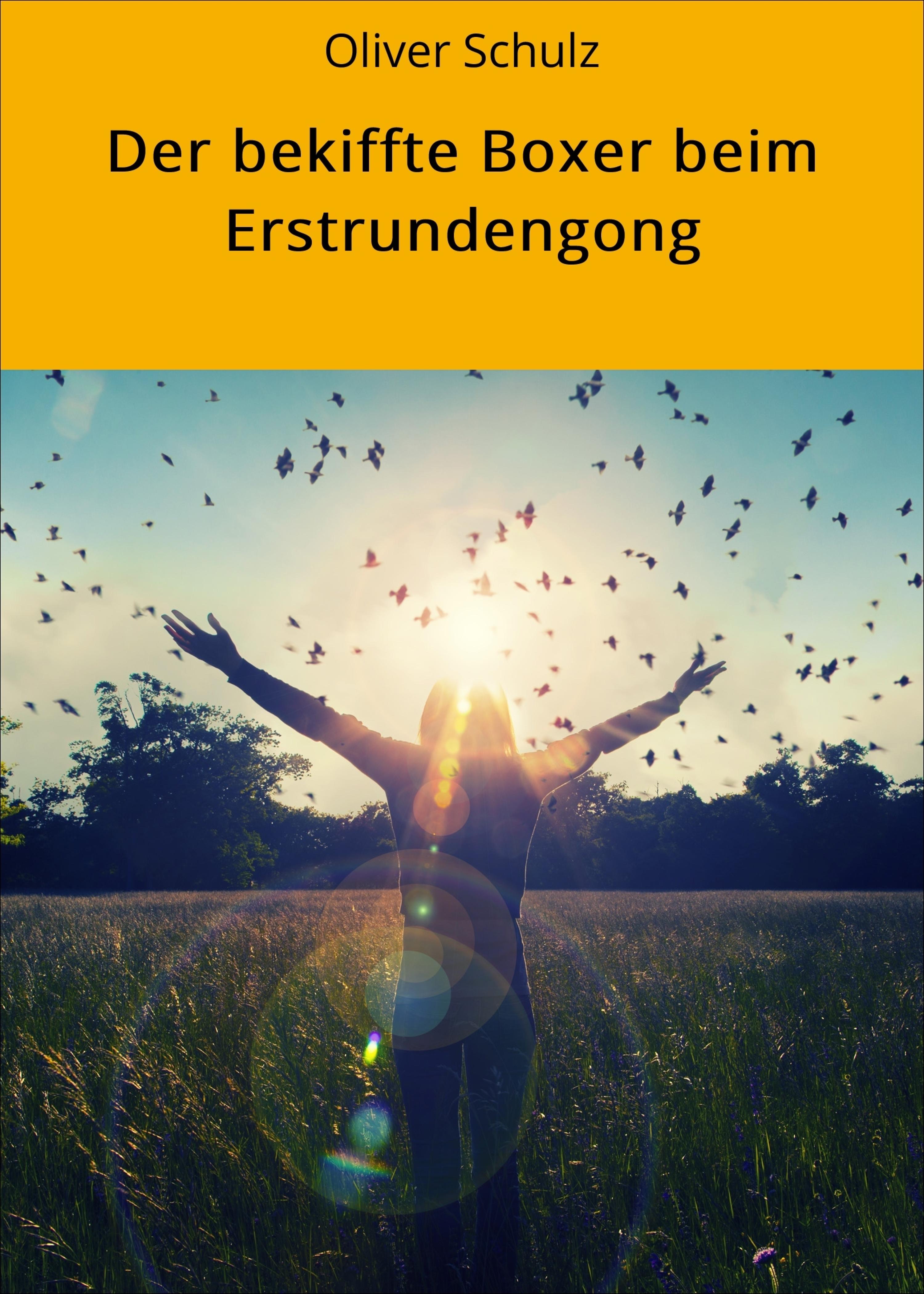 Обложка книги «Der bekiffte Boxer beim Erstrundengong»