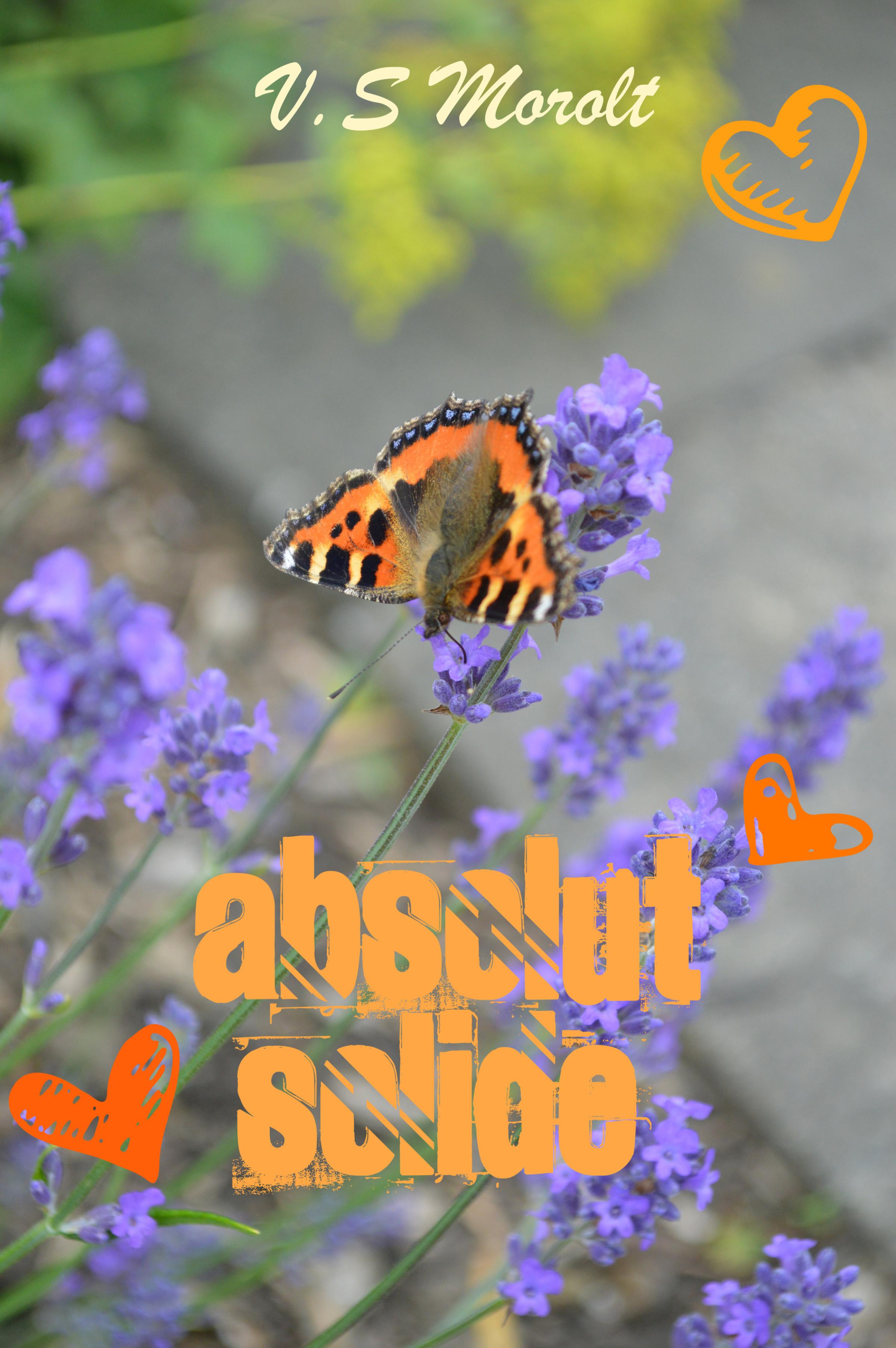 Обложка книги «absolut solide»