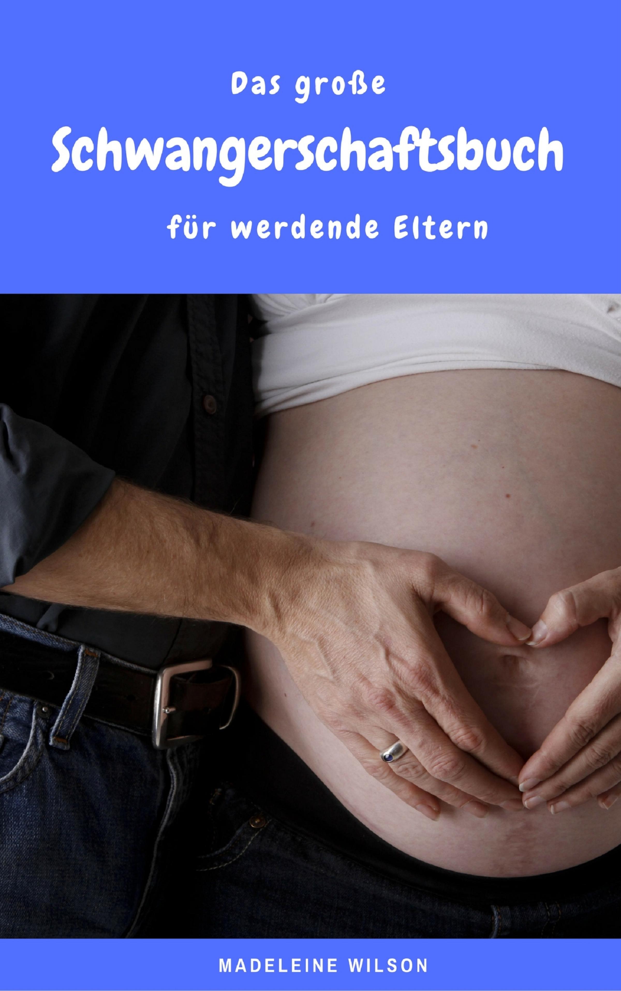 Обложка книги «Das große Schwangerschaftsbuch für werdende Eltern»