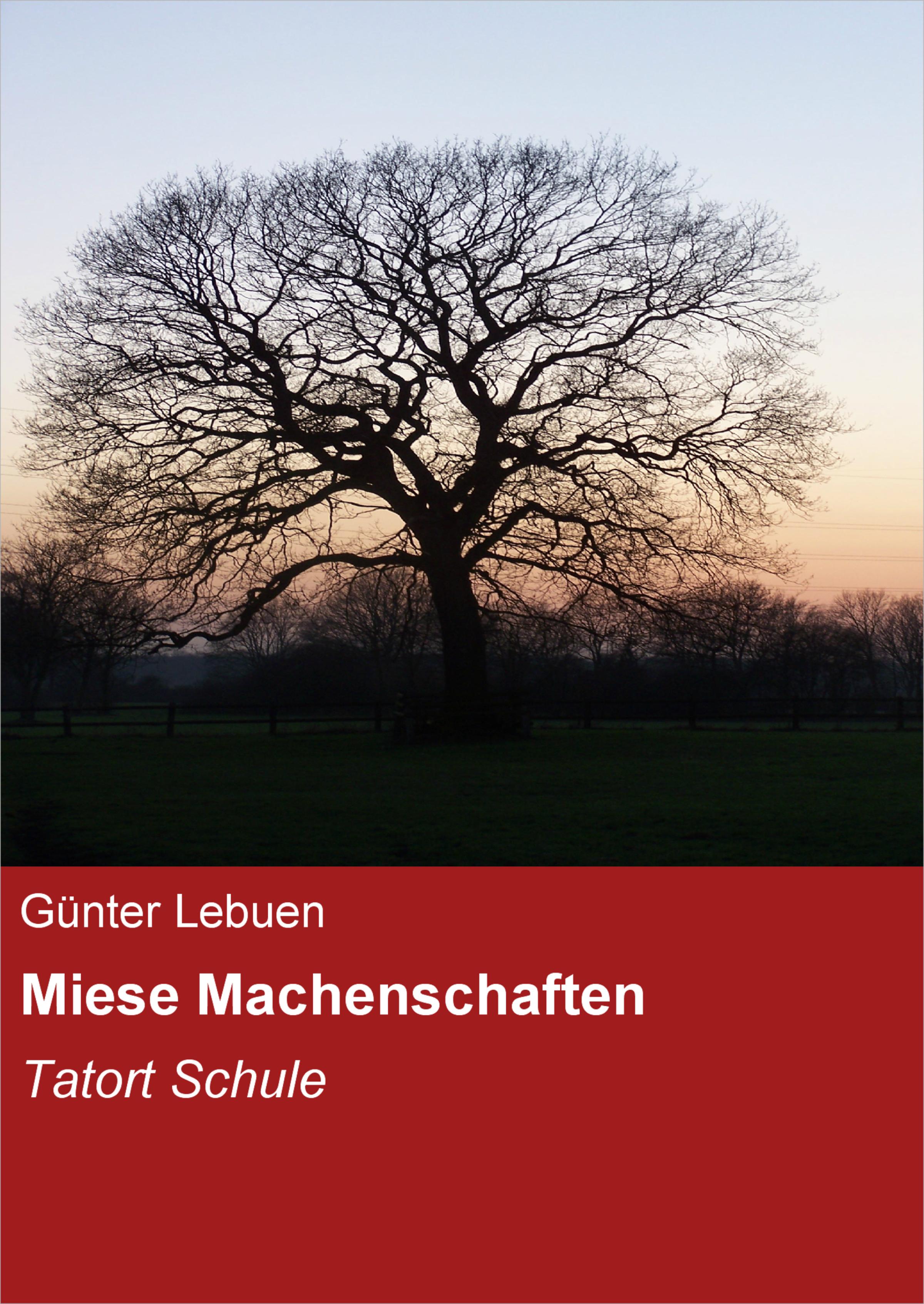 Обложка книги «Miese Machenschaften»