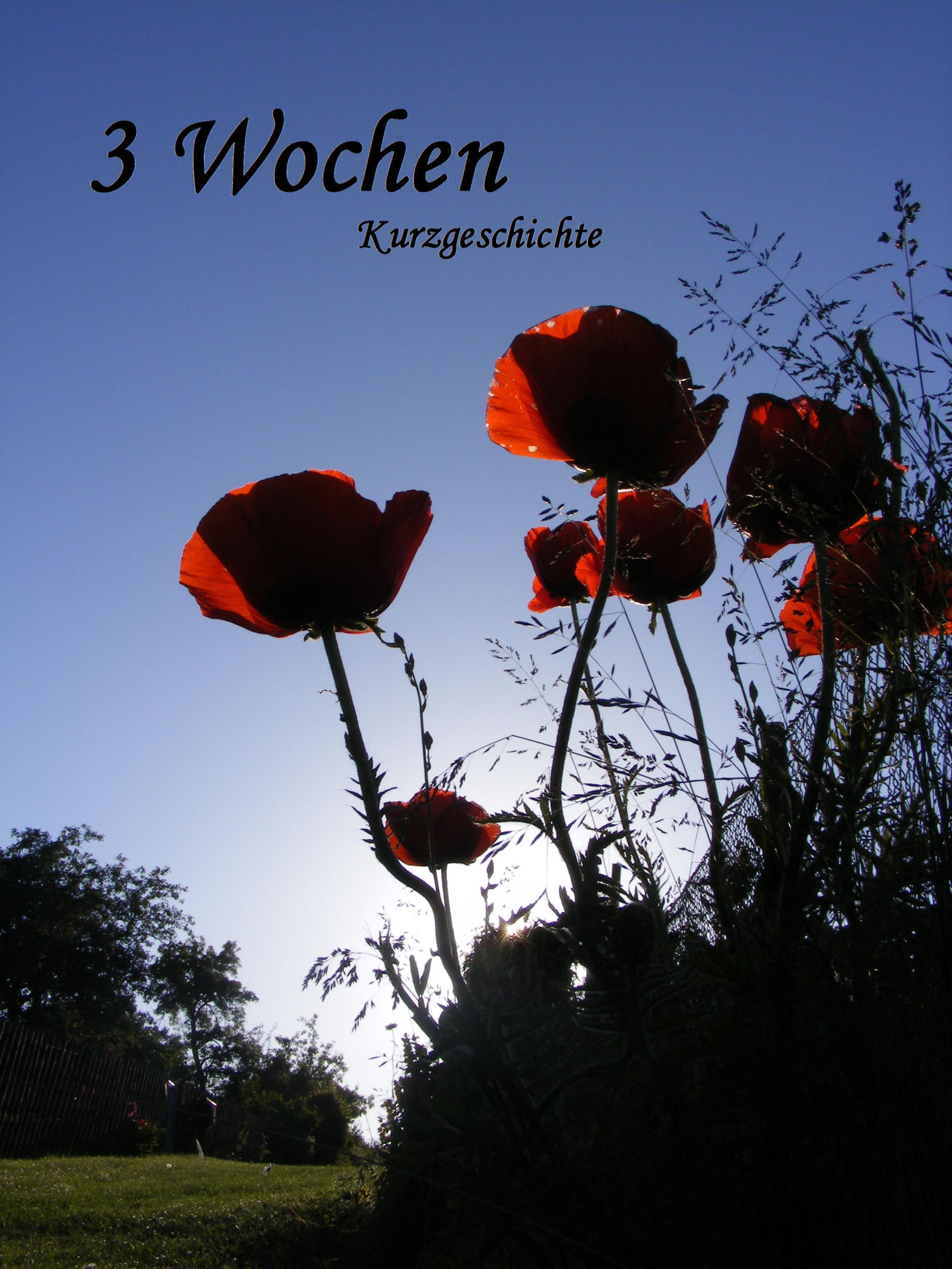 Обложка книги «Drei Wochen»