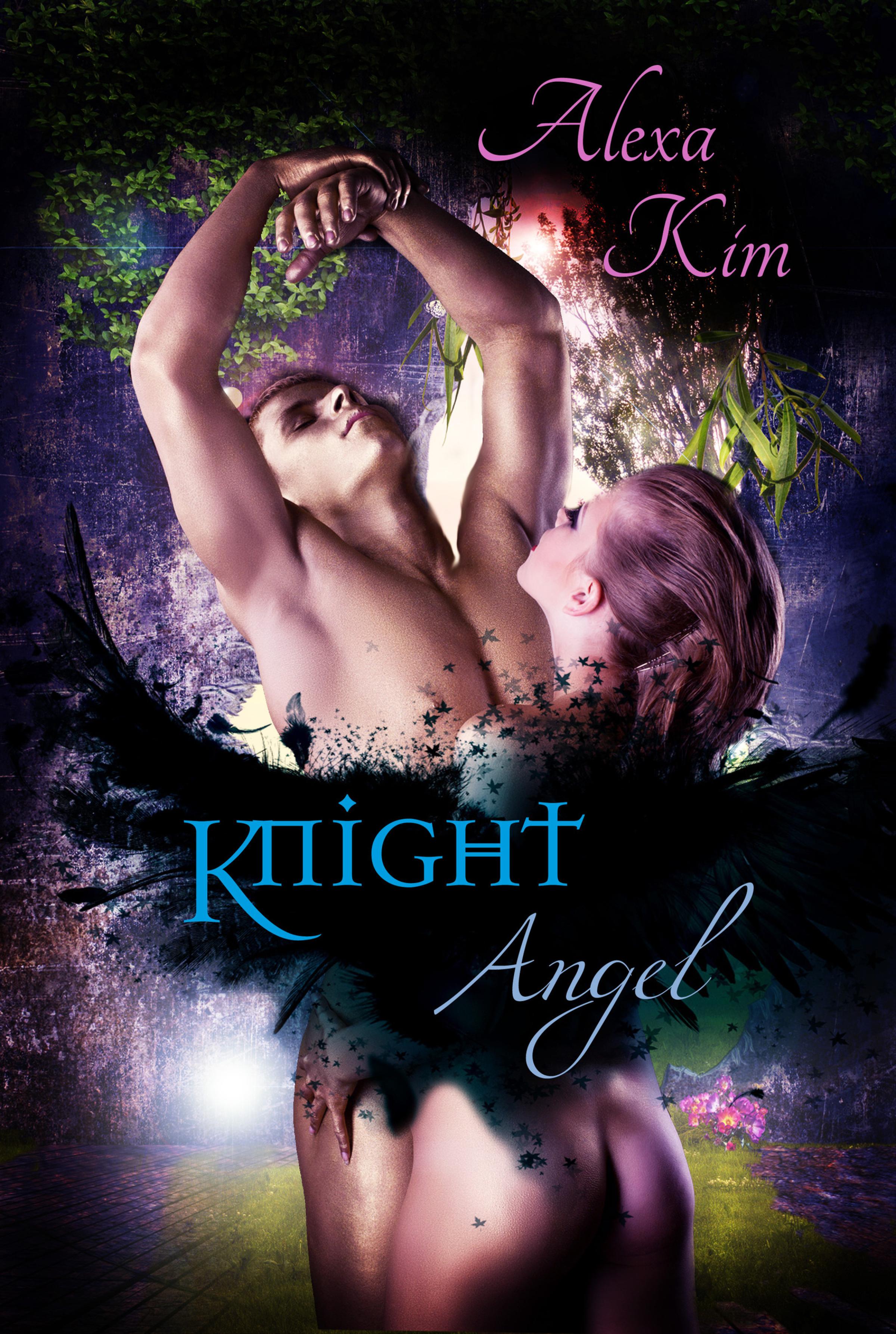 Обложка книги «Knight Angel»