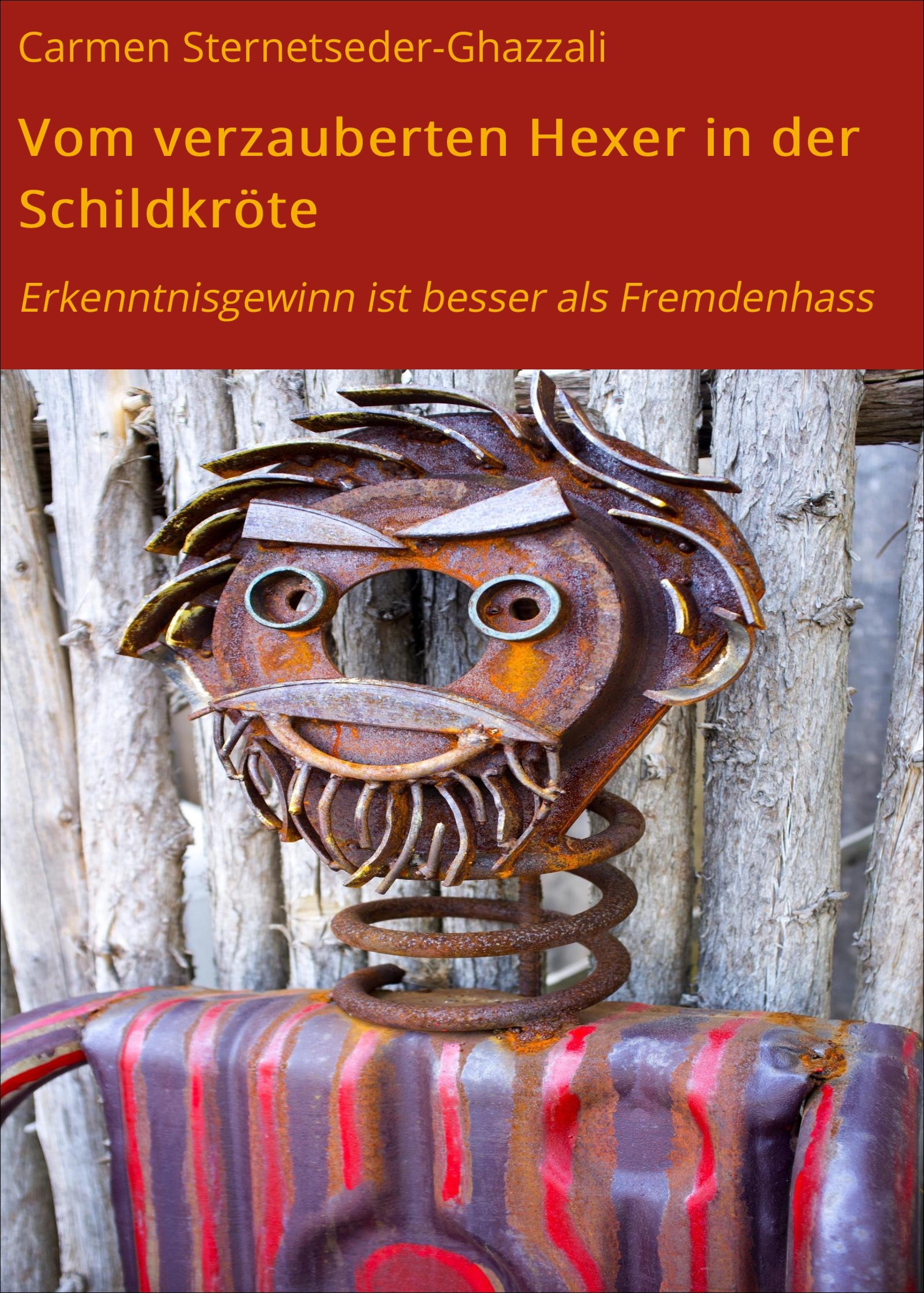 Обложка книги «Vom verzauberten Hexer in der Schildkröte»