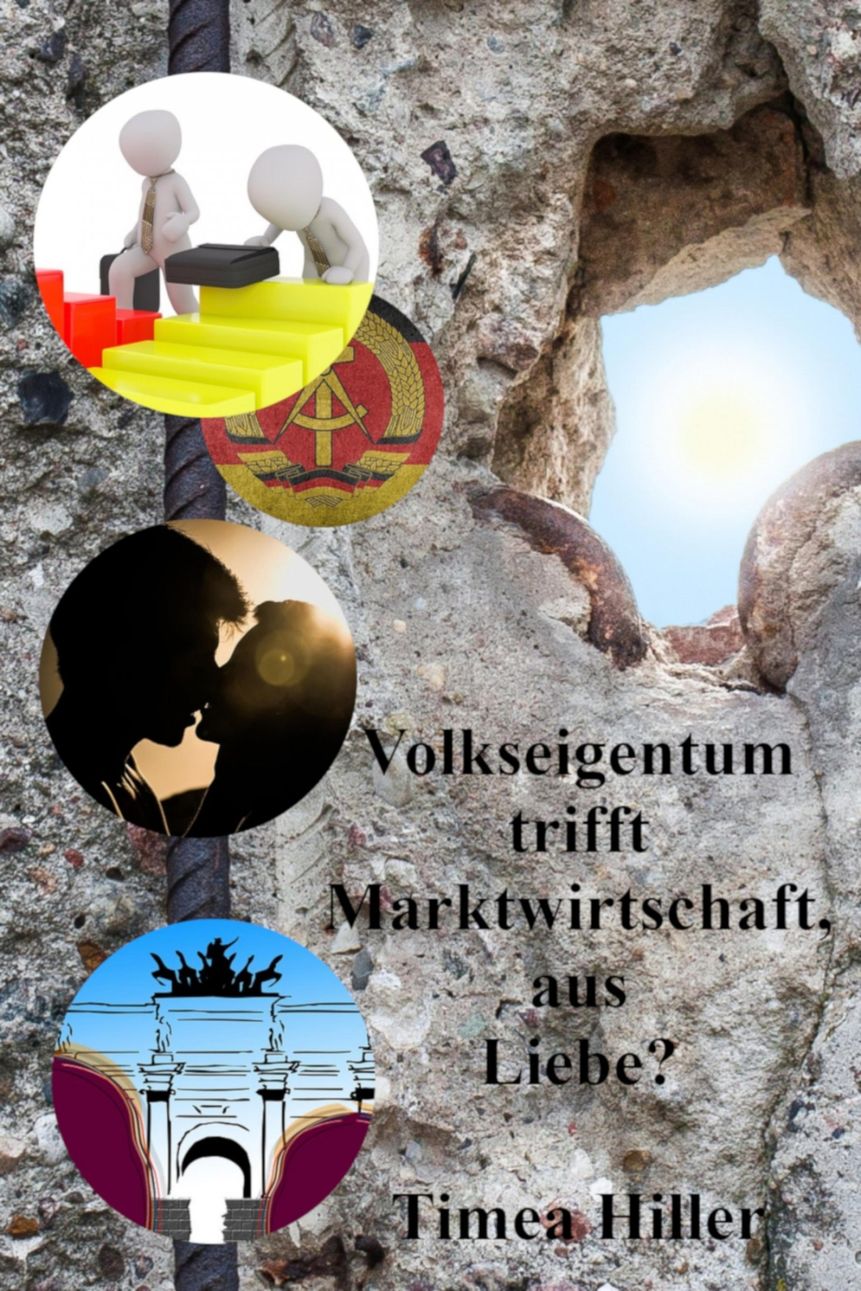 Обложка книги «Volkseigentum trifft Marktwirtschaft, aus Liebe?»