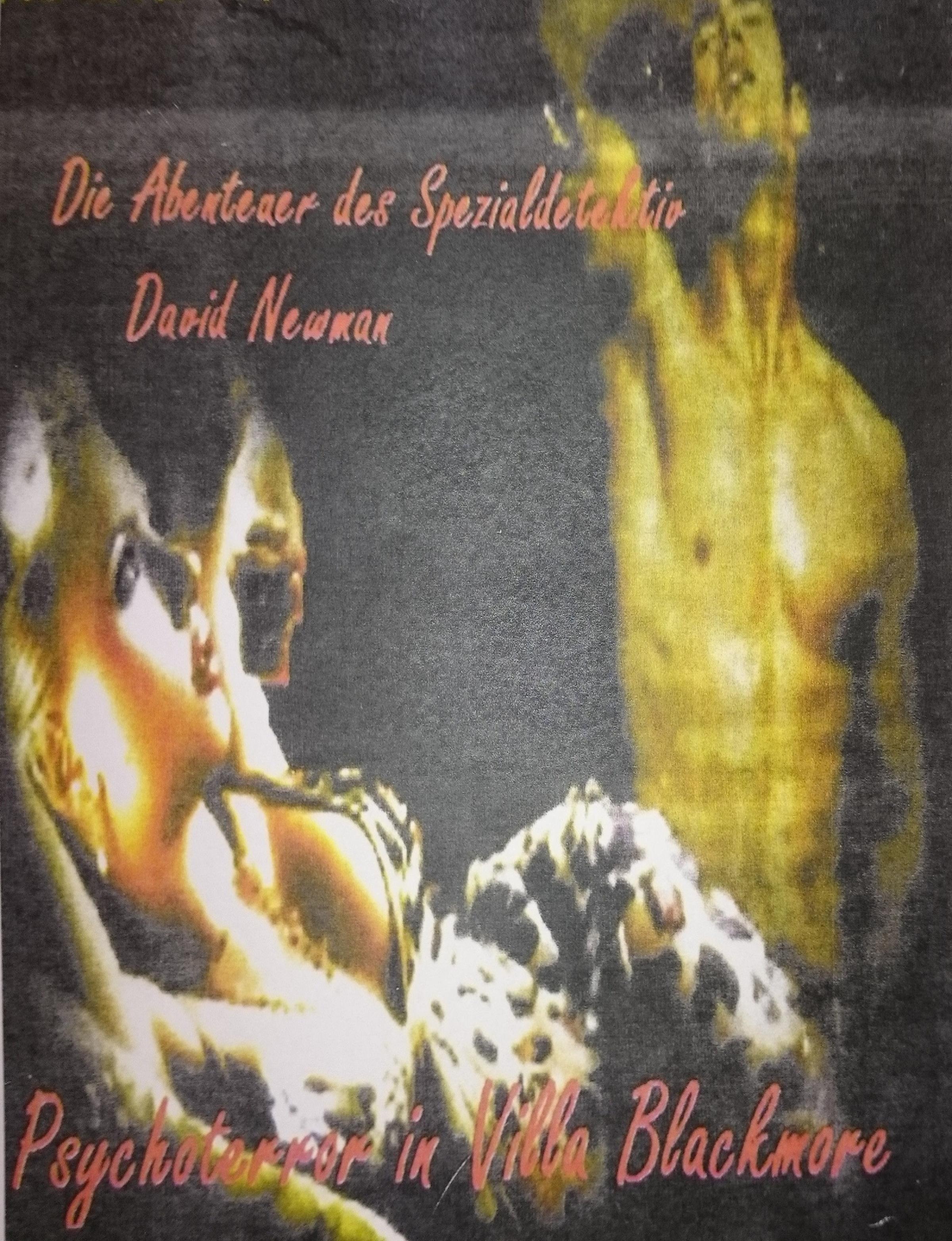 Обложка книги «Die Abenteuer des Spezialdetektiv David Newman»