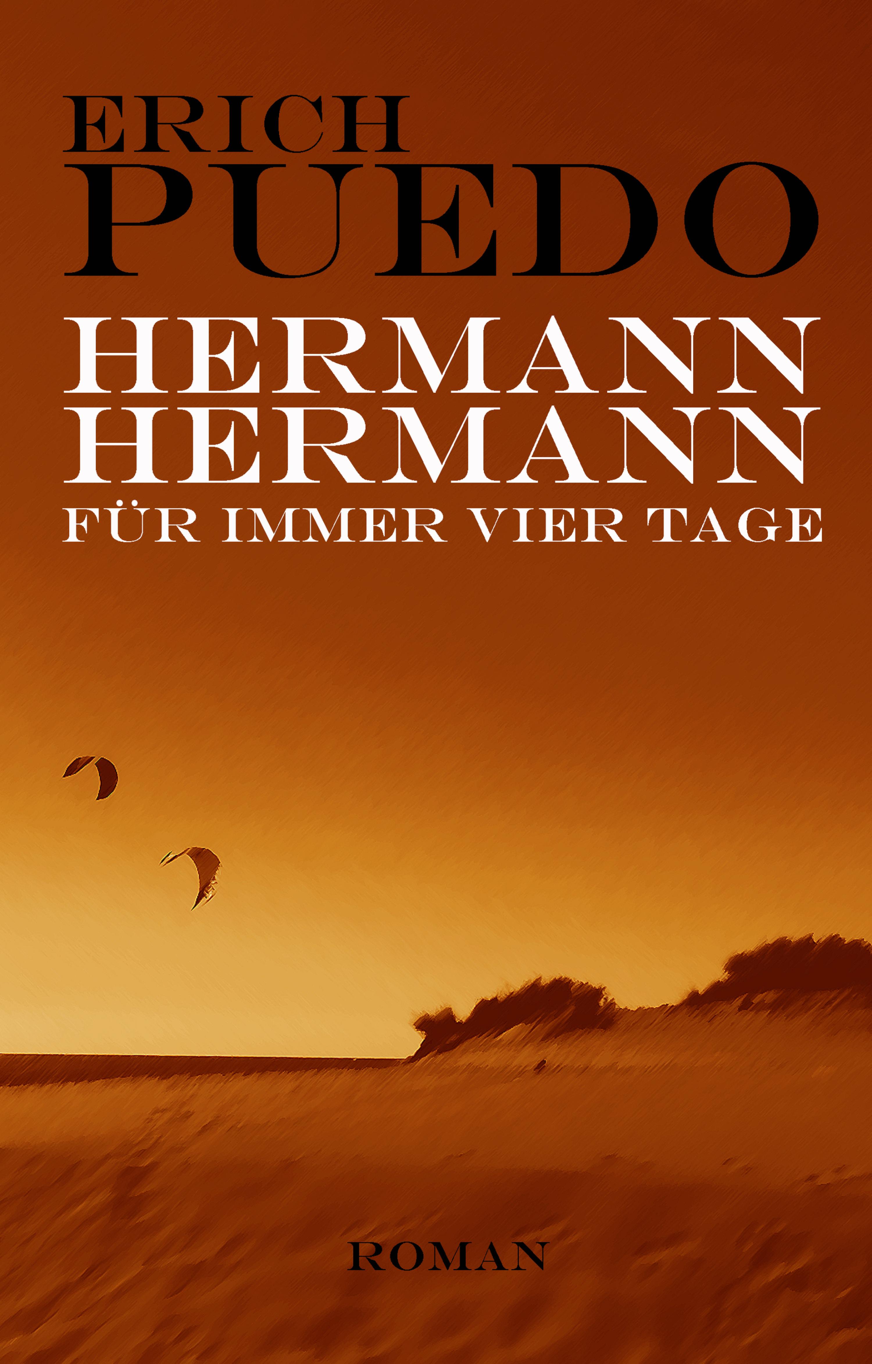 Обложка книги «Hermann, Hermann»