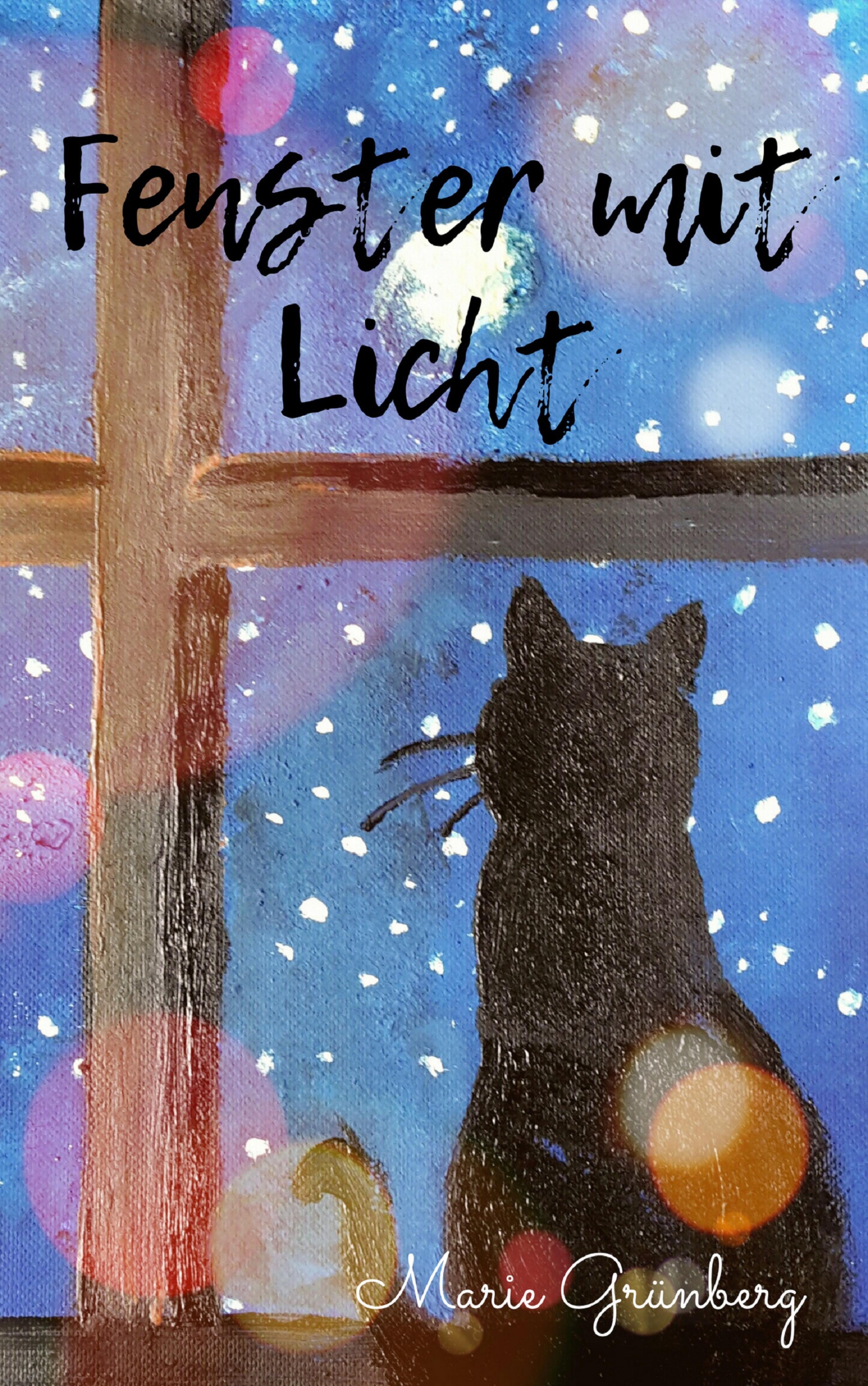 Обложка книги «Fenster mit Licht»