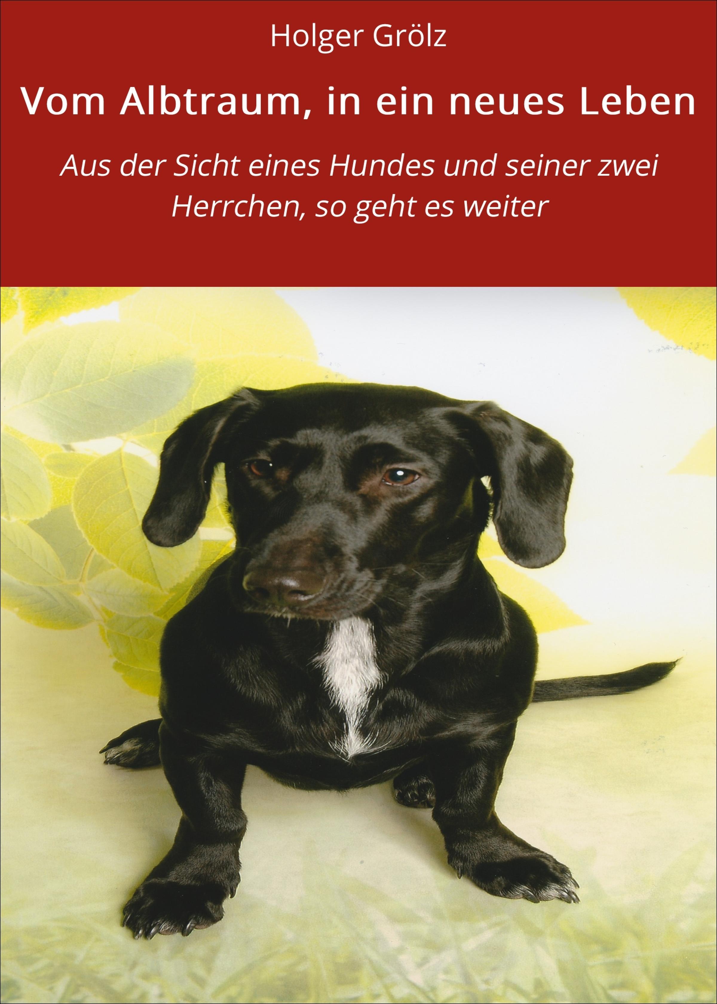 Обложка книги «Vom Albtraum, in ein neues Leben»