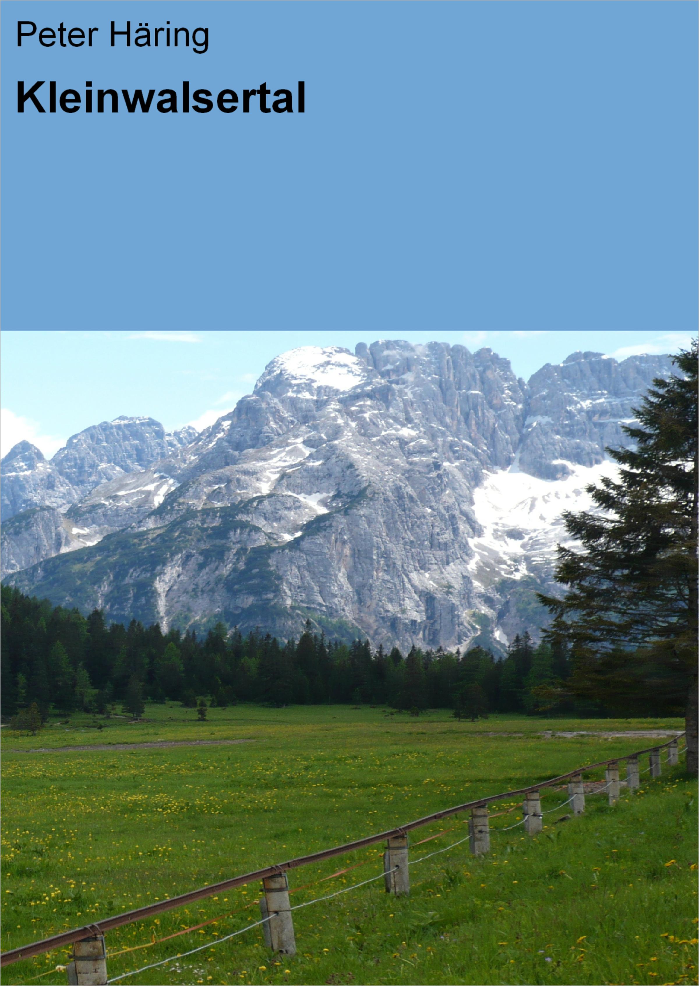 Обложка книги «Kleinwalsertal»
