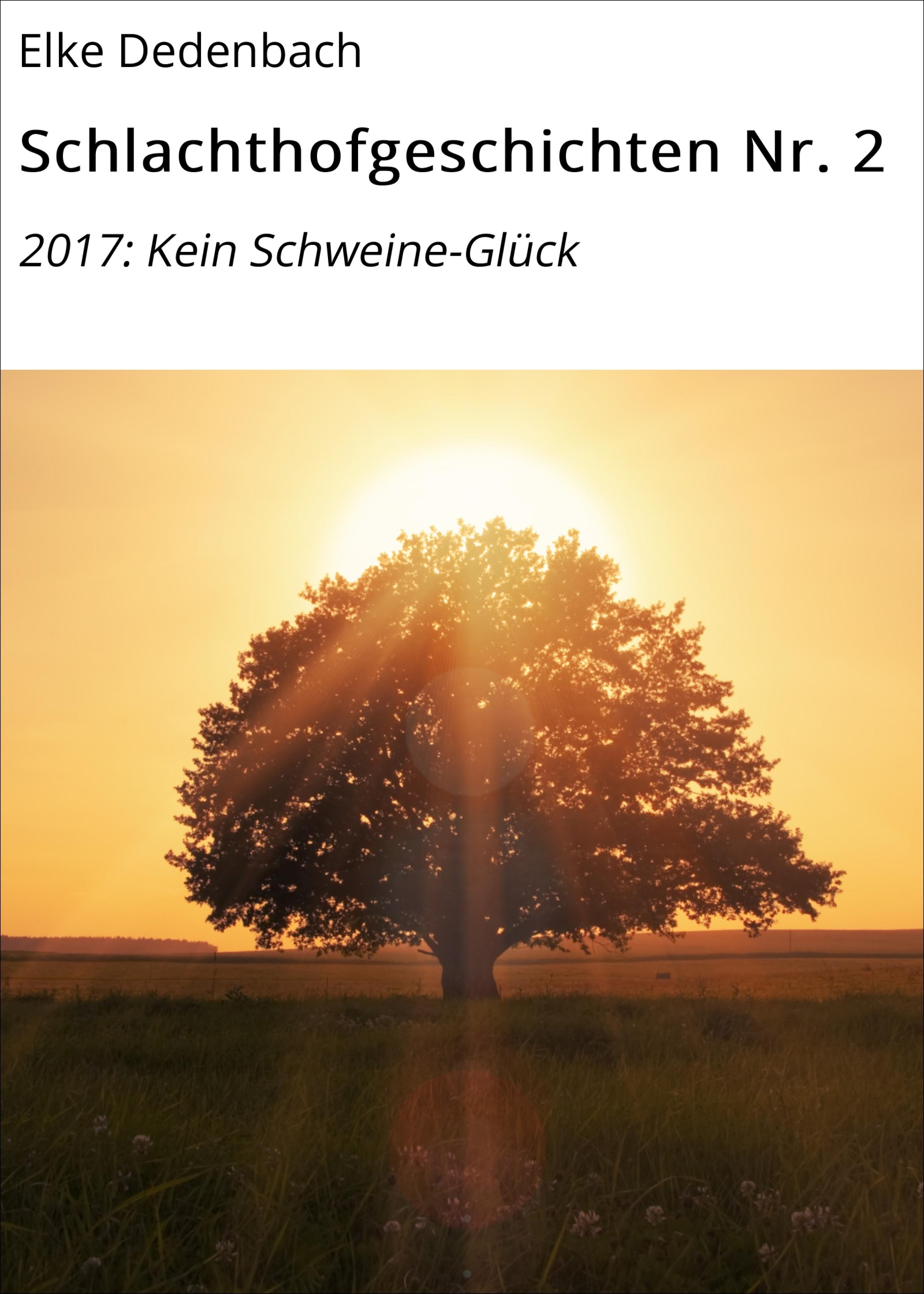 Обложка книги «Schlachthofgeschichten Nr. 2»