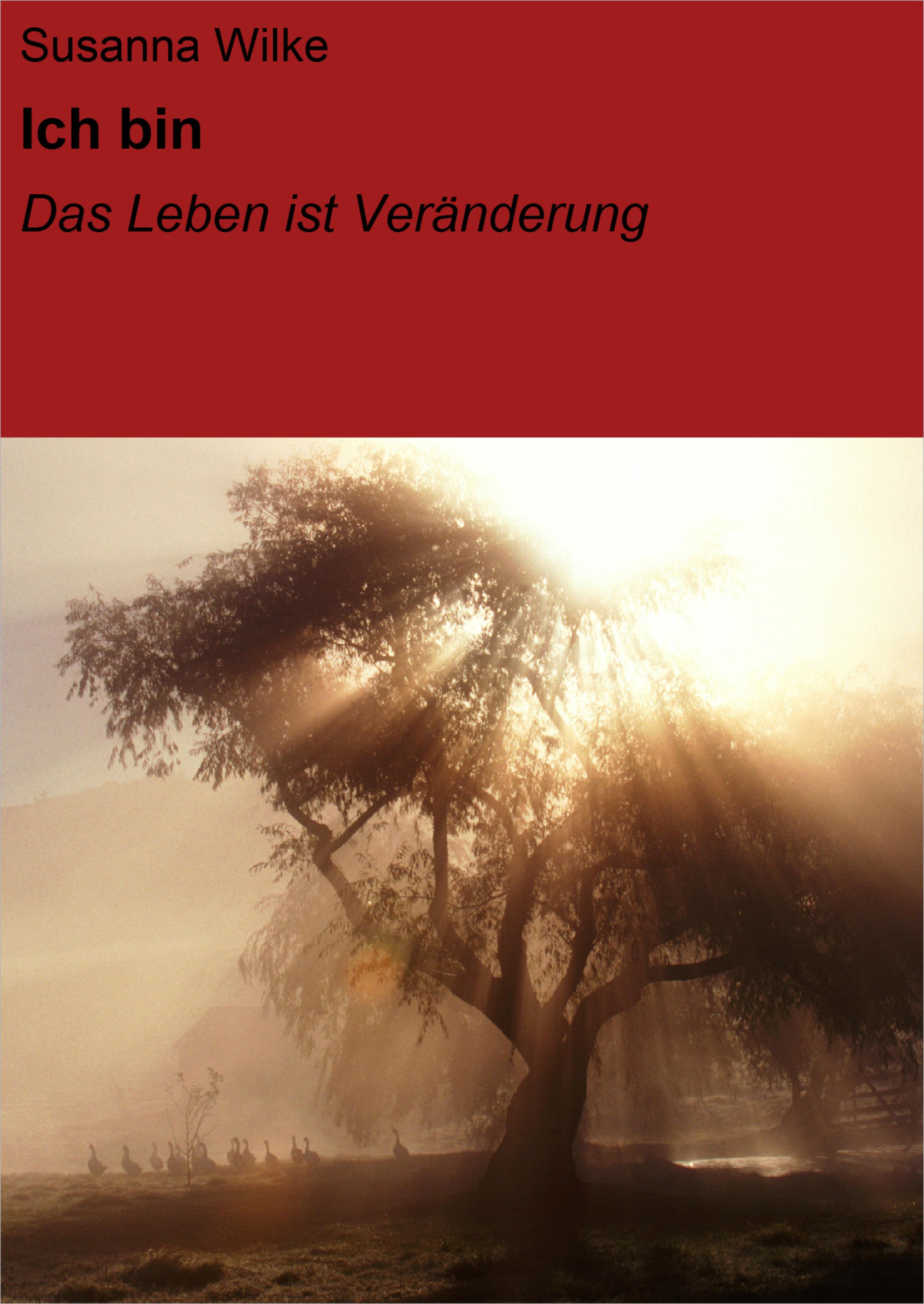 Обложка книги «Ich bin»