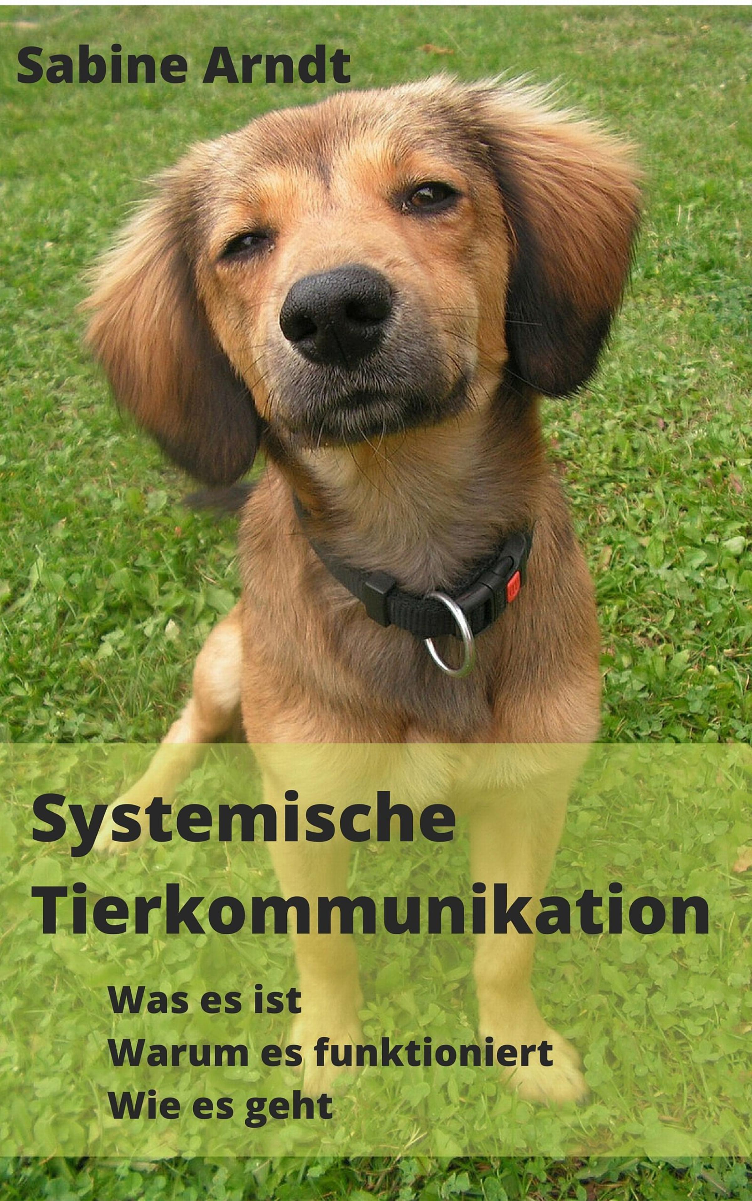 Обложка книги «Systemische Tierkommunikation»